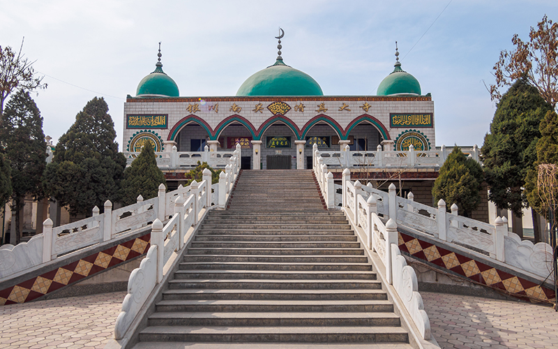 私家定制团/额济纳胡杨林金秋摄影专线6日游(银川清真寺 居延海日出