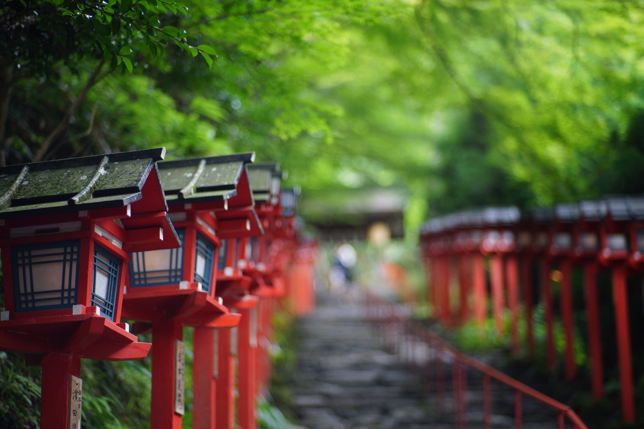 京都自助遊攻略