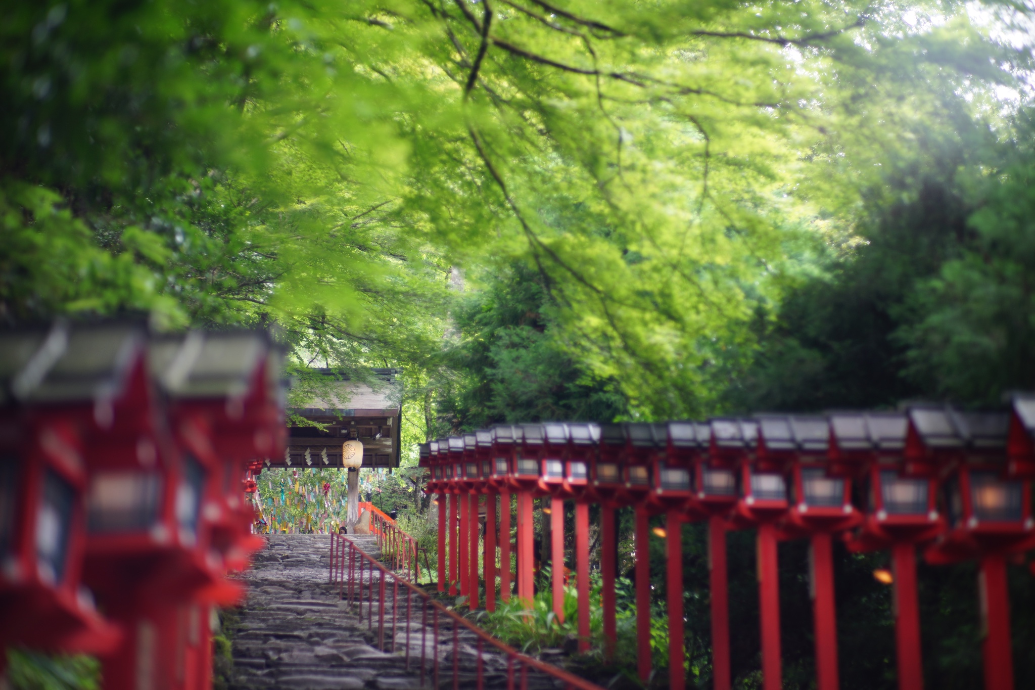 京都自助遊攻略