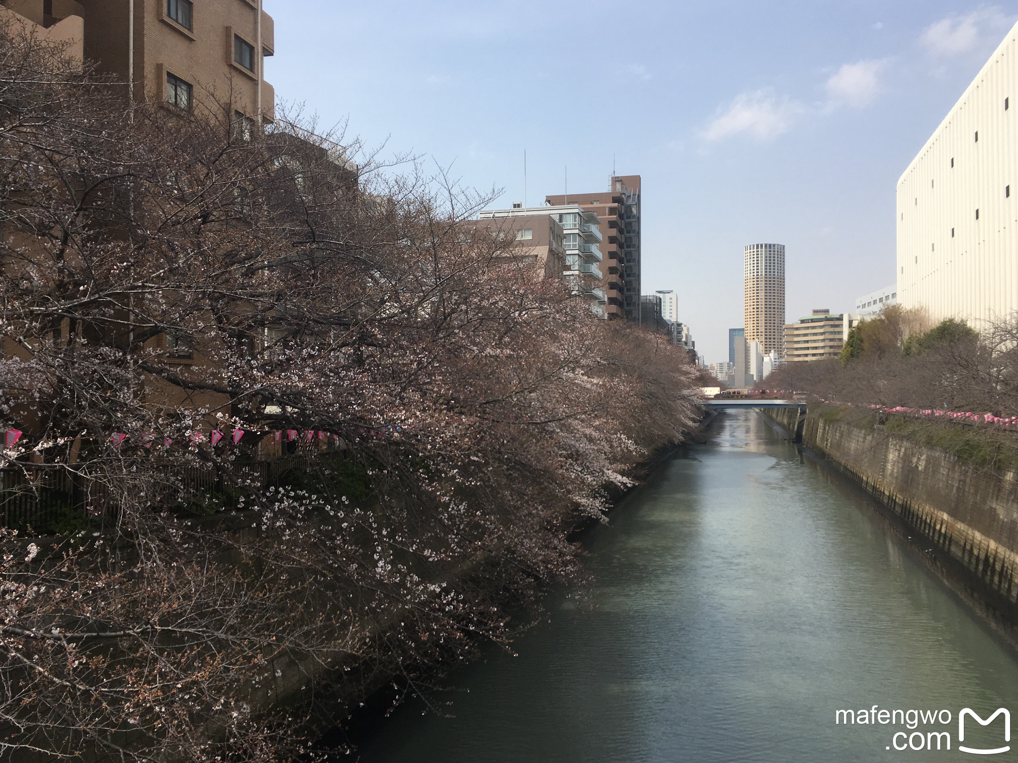 東京自助遊攻略