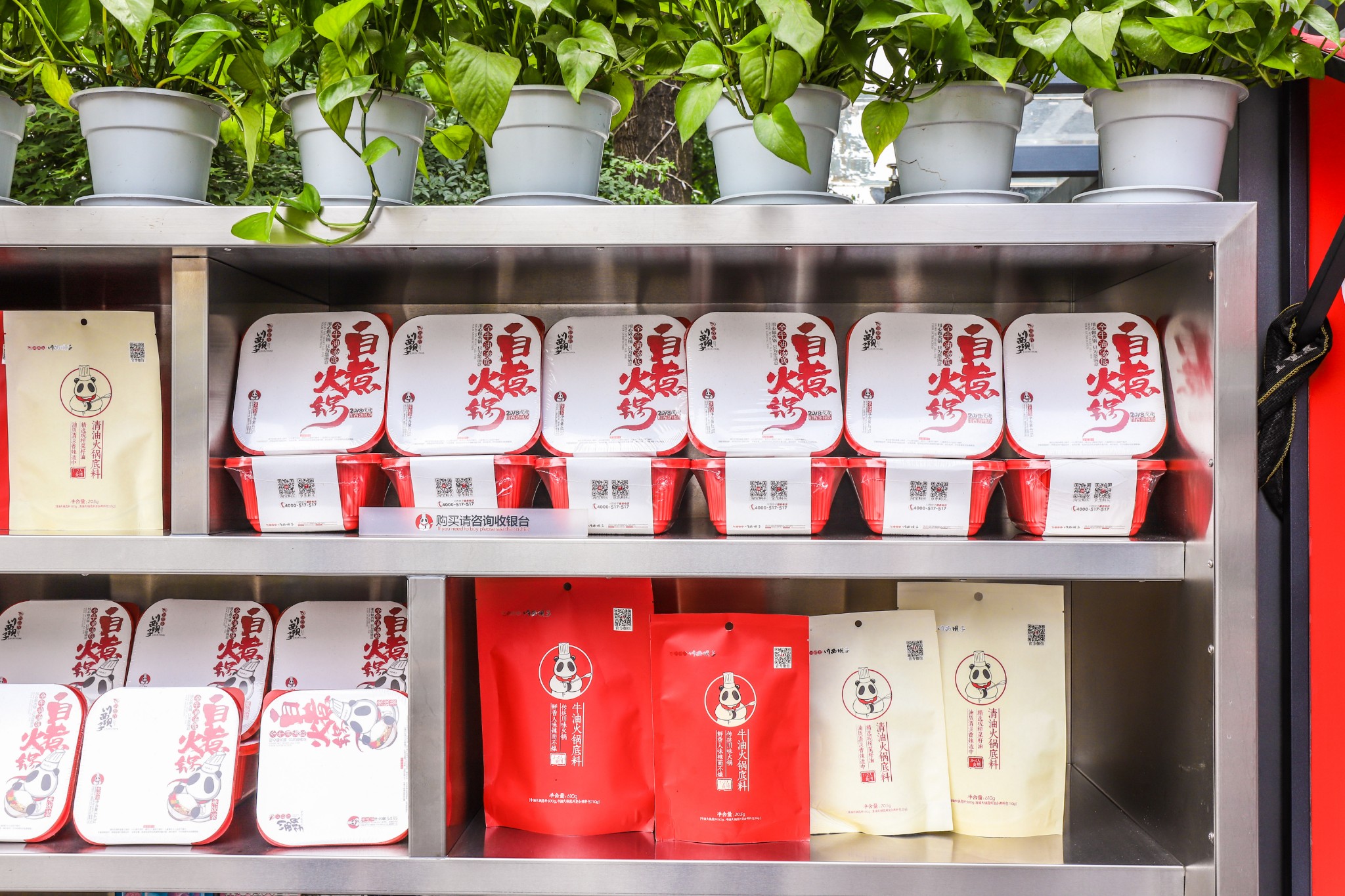 生活20年的成都人告诉你不一样的小众玩法（美食+美景）