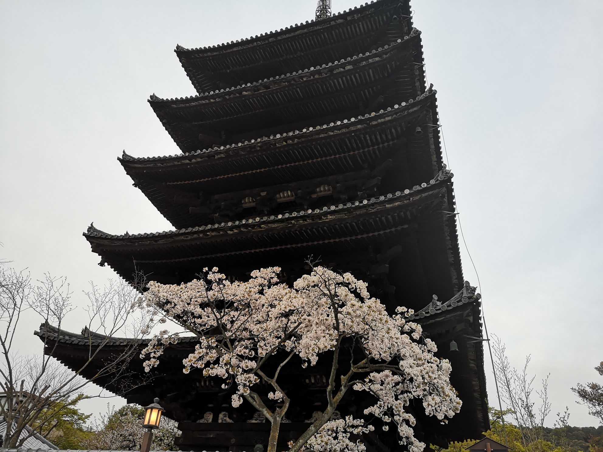 京都自助遊攻略