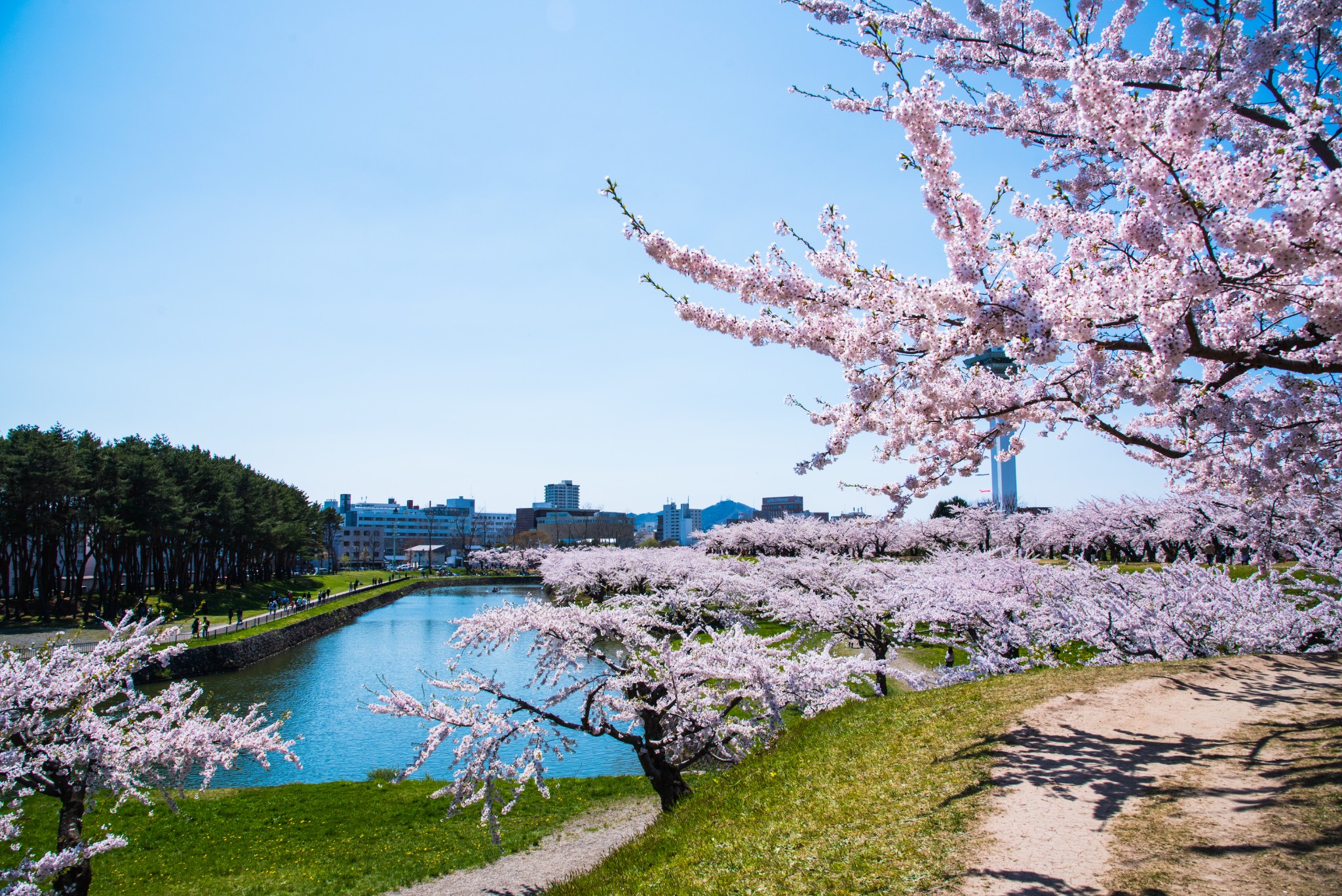 北海道自助遊攻略