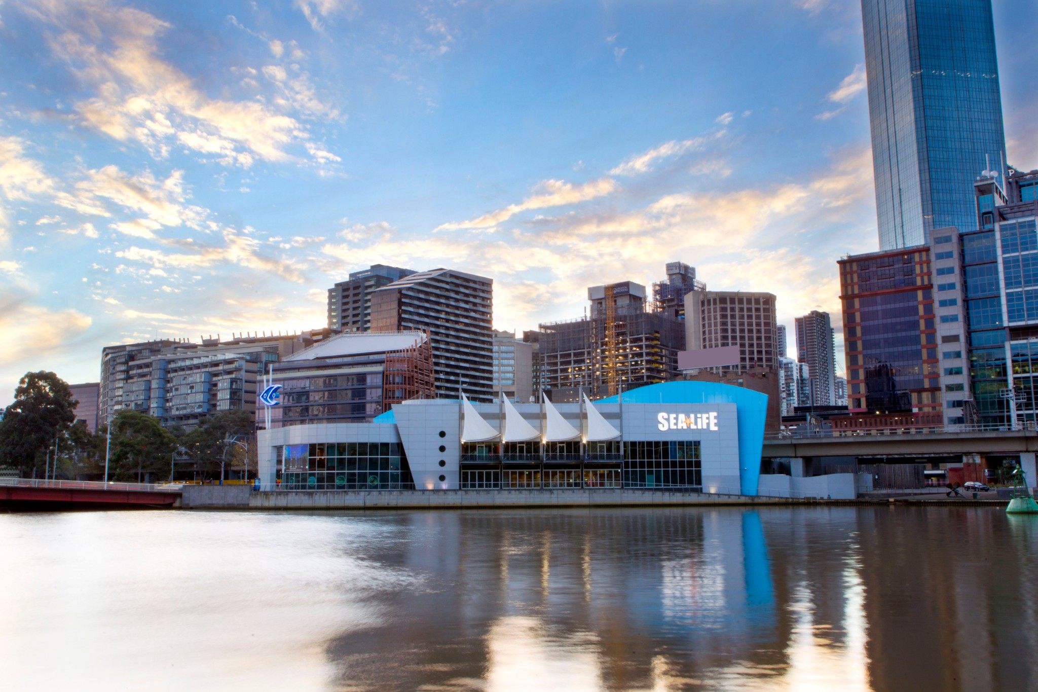 墨尔本水族馆全攻略,一起探索神奇的海底世界!