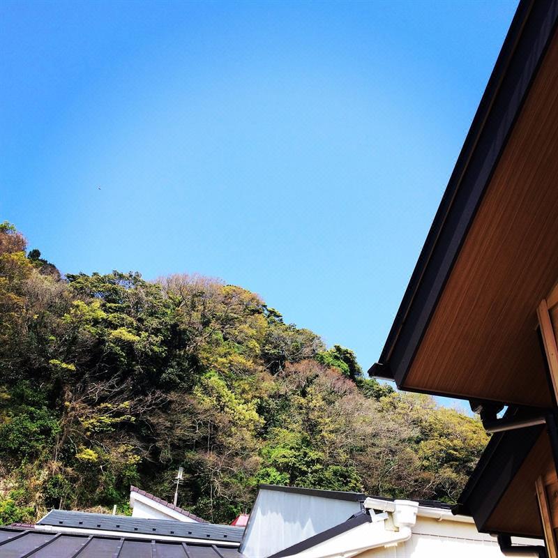 镰仓泽杰旅馆 Guest House Kamakura Zen-ji