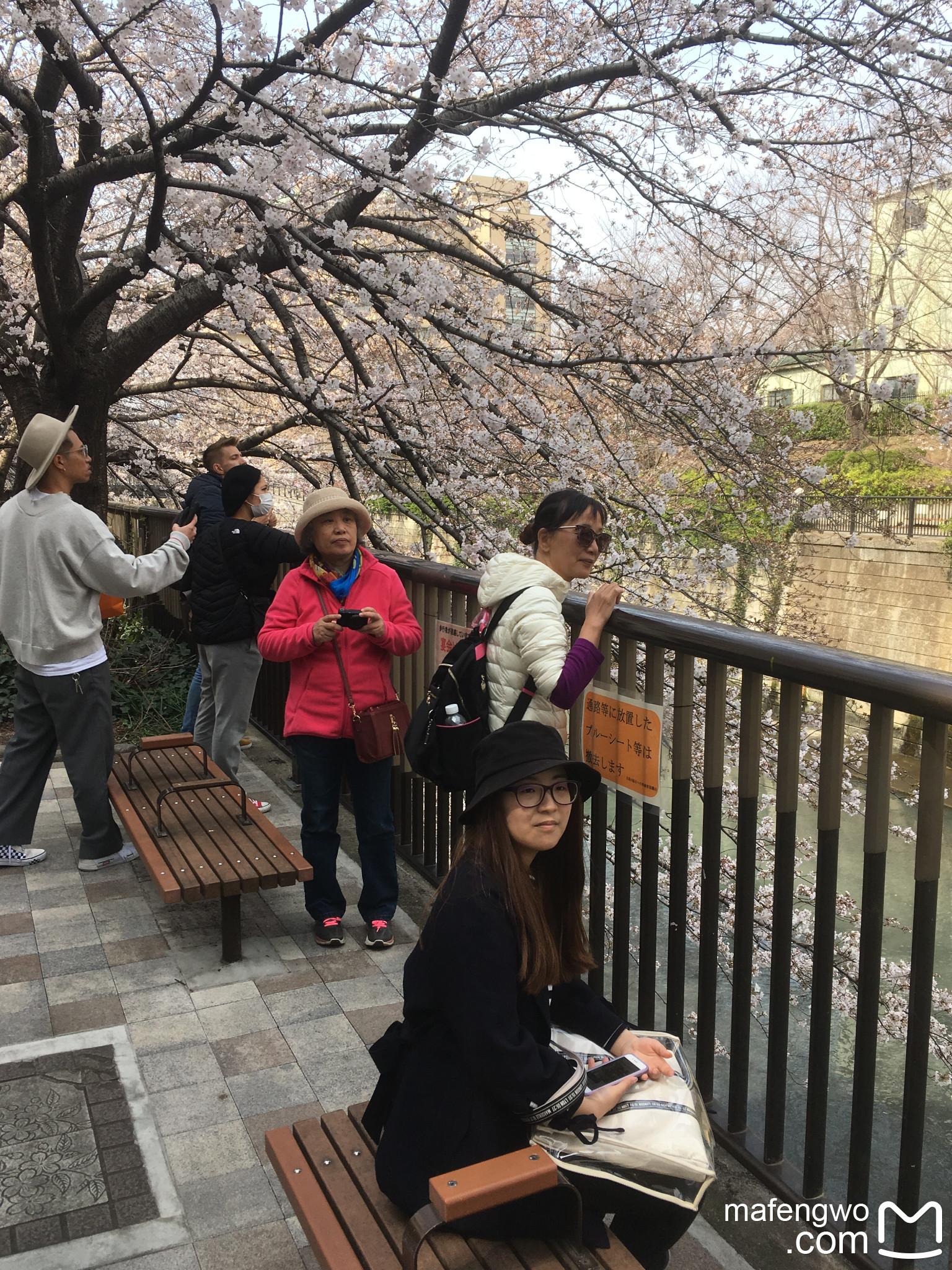 東京自助遊攻略