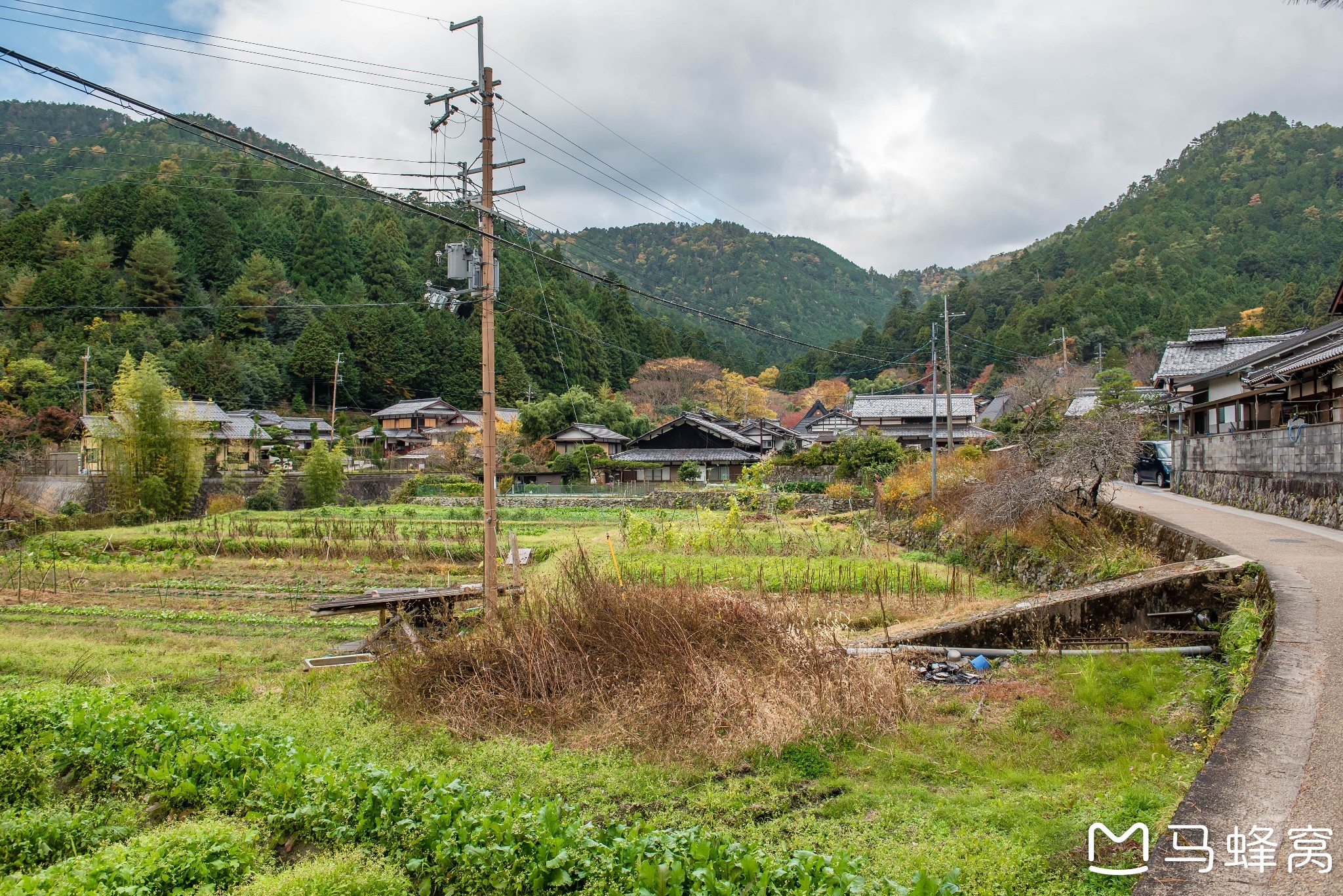 京都自助遊攻略