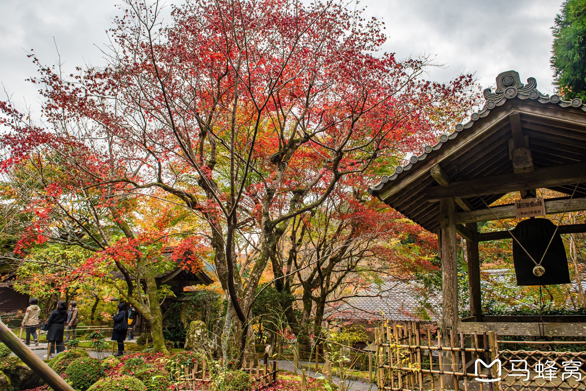 京都自助遊攻略