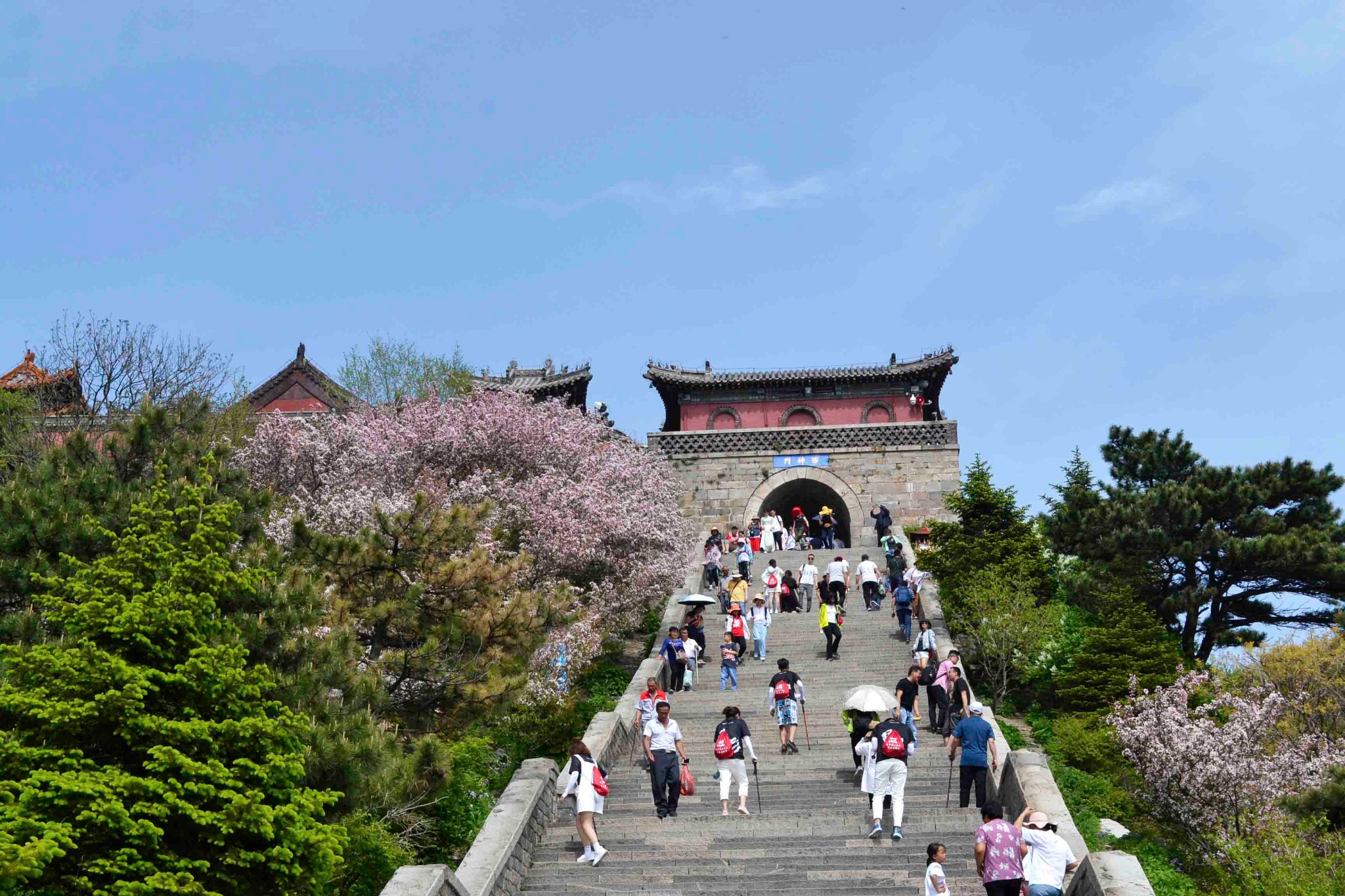 行走齊魯大地-跨越山海之間 ▏窮遊山東14天