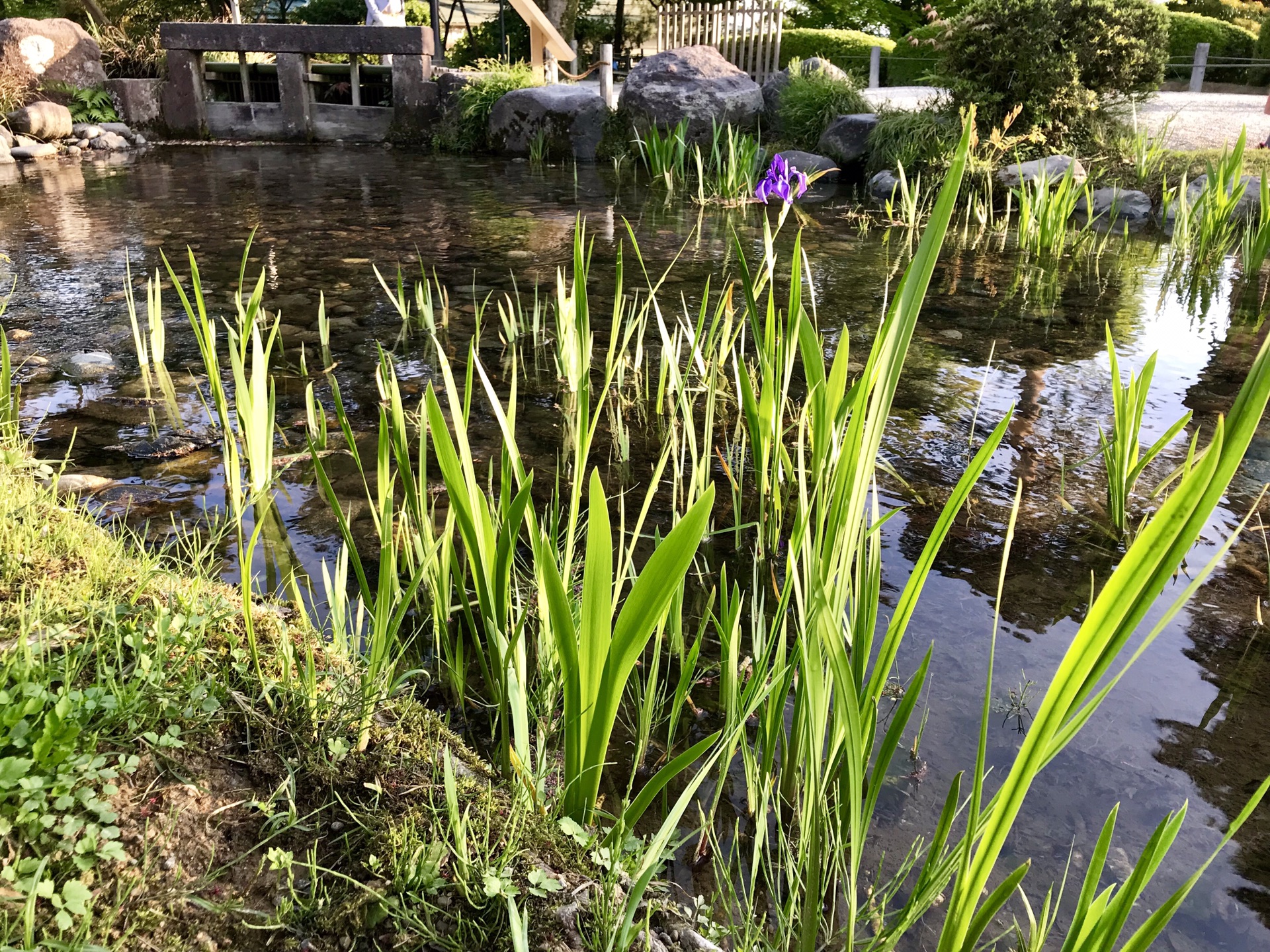 名古屋自助遊攻略