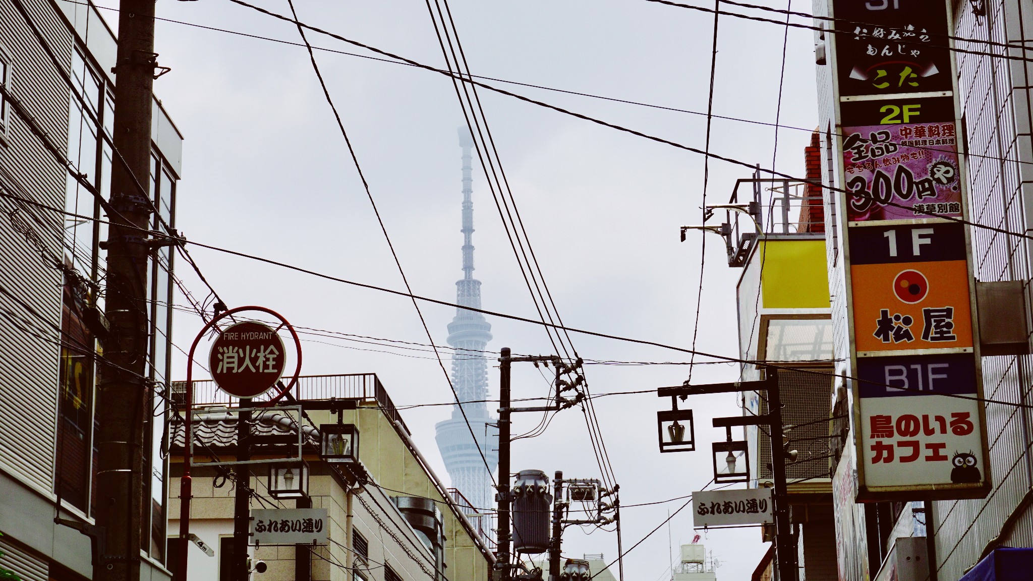 東京自助遊攻略