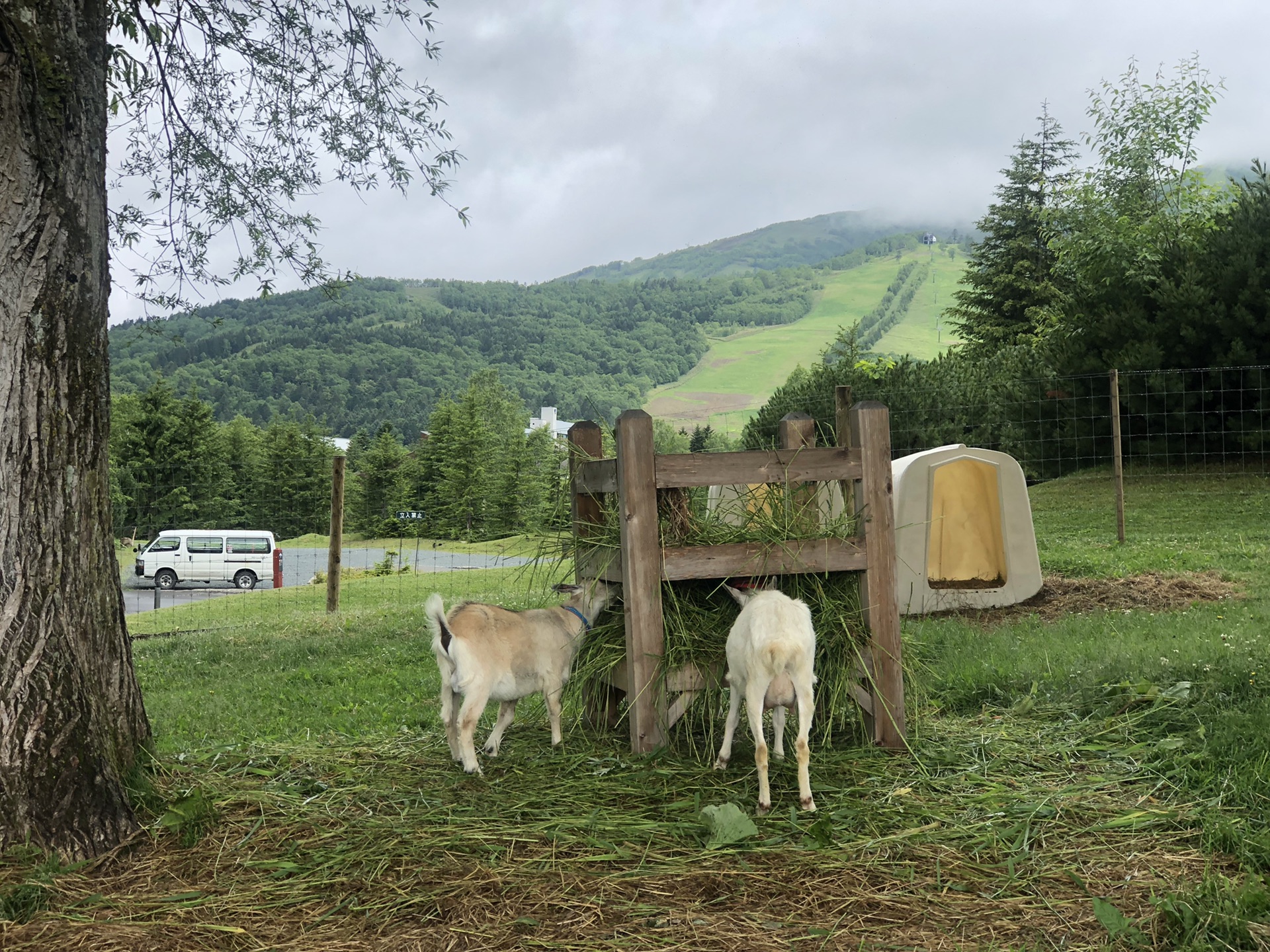 北海道自助遊攻略