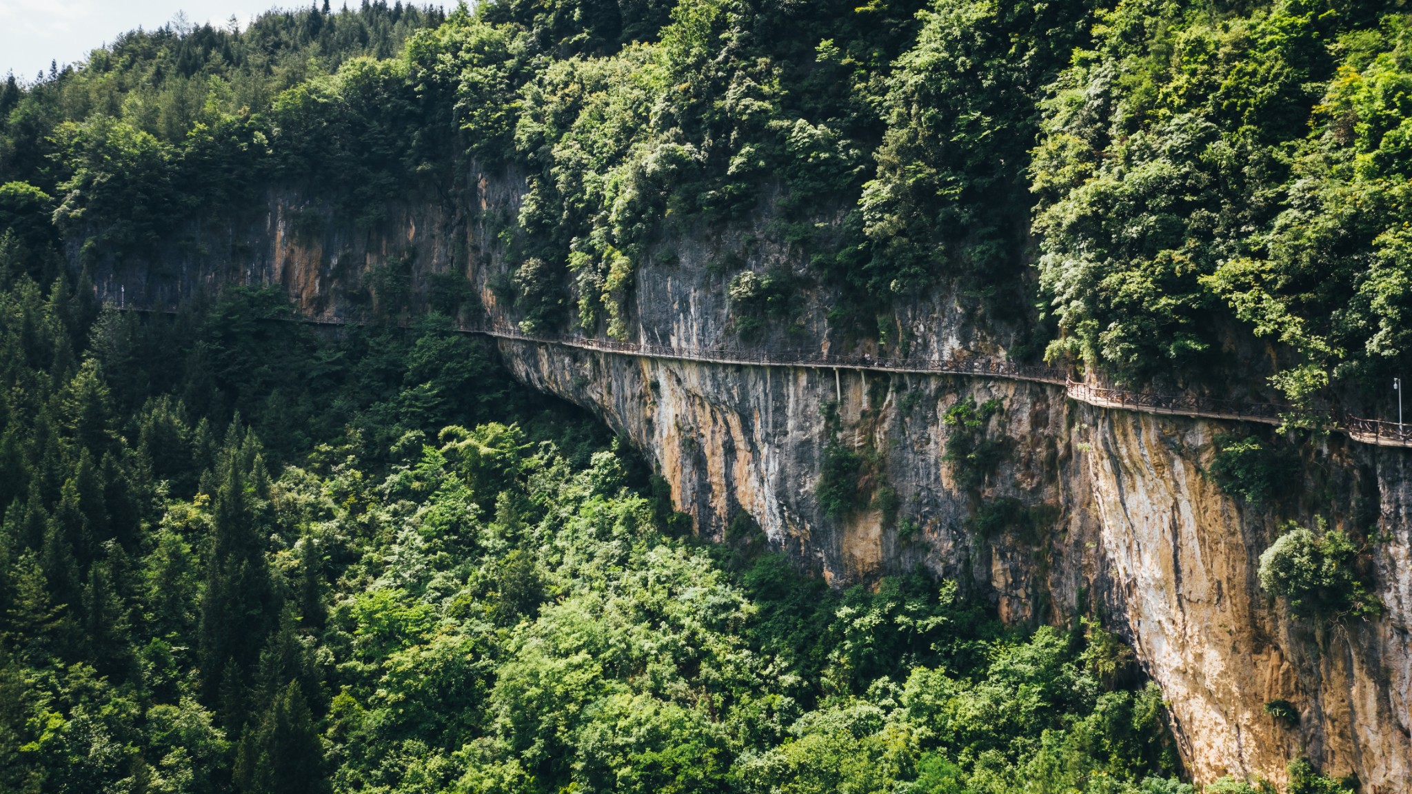 巴山大峽谷 | 探索地質奇蹟與秘境山林