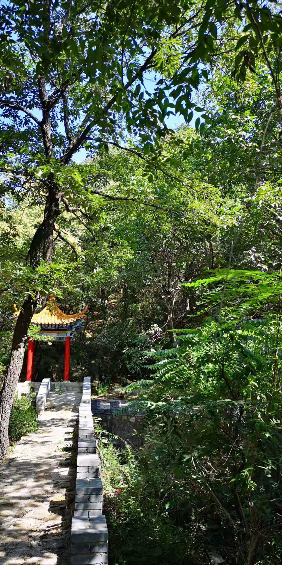 平定药林寺一日游 2019.8.31,平定自助游攻略 - 马蜂窝