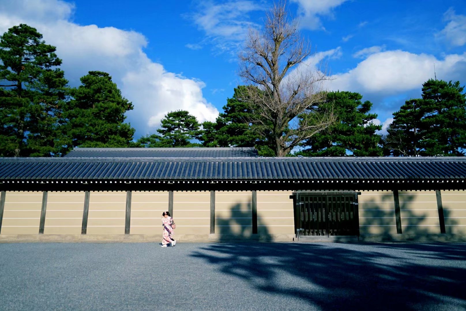 京都自助遊攻略