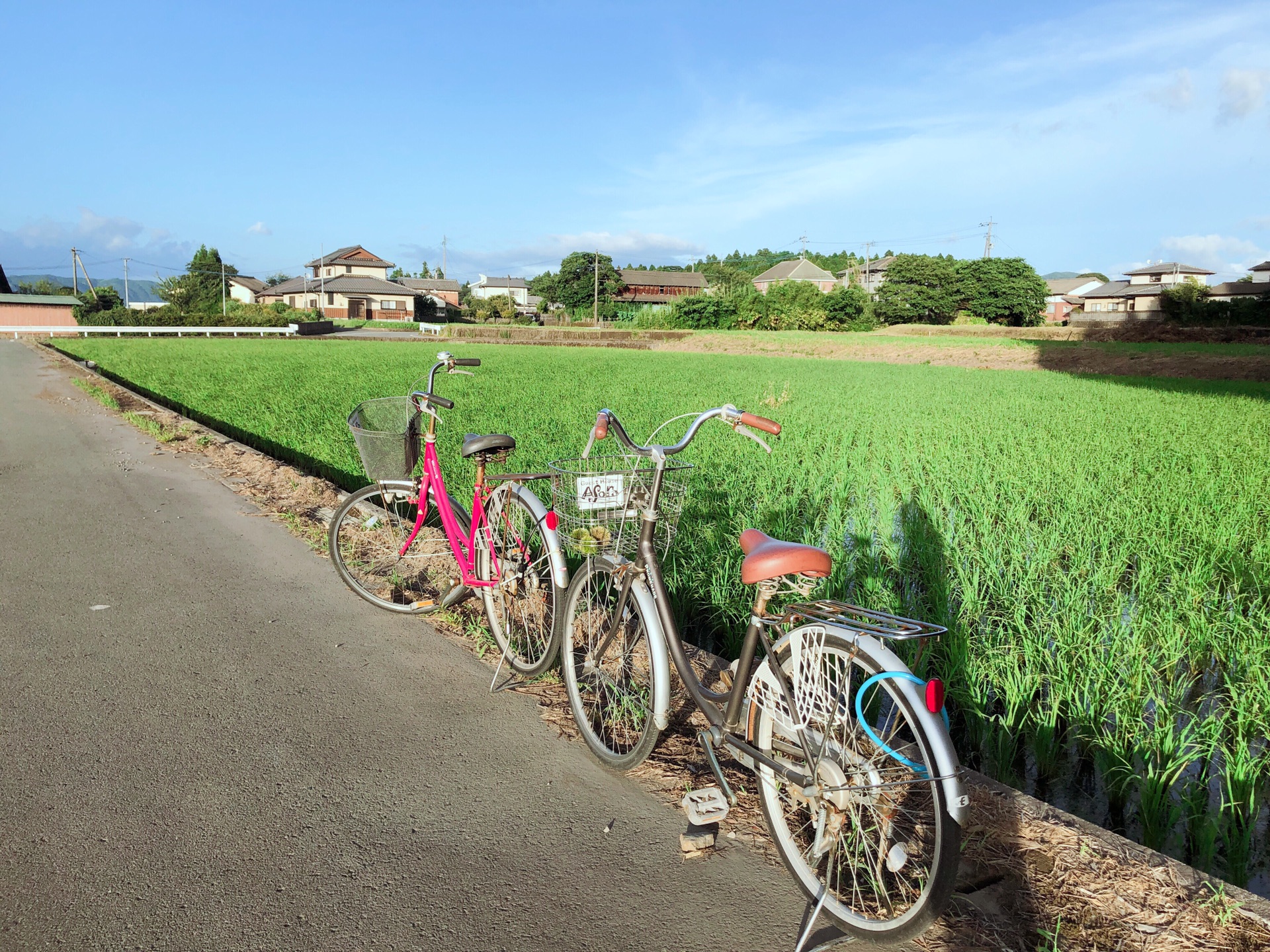 福岡自助遊攻略