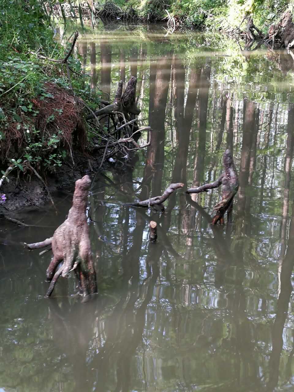 泰州自助遊攻略