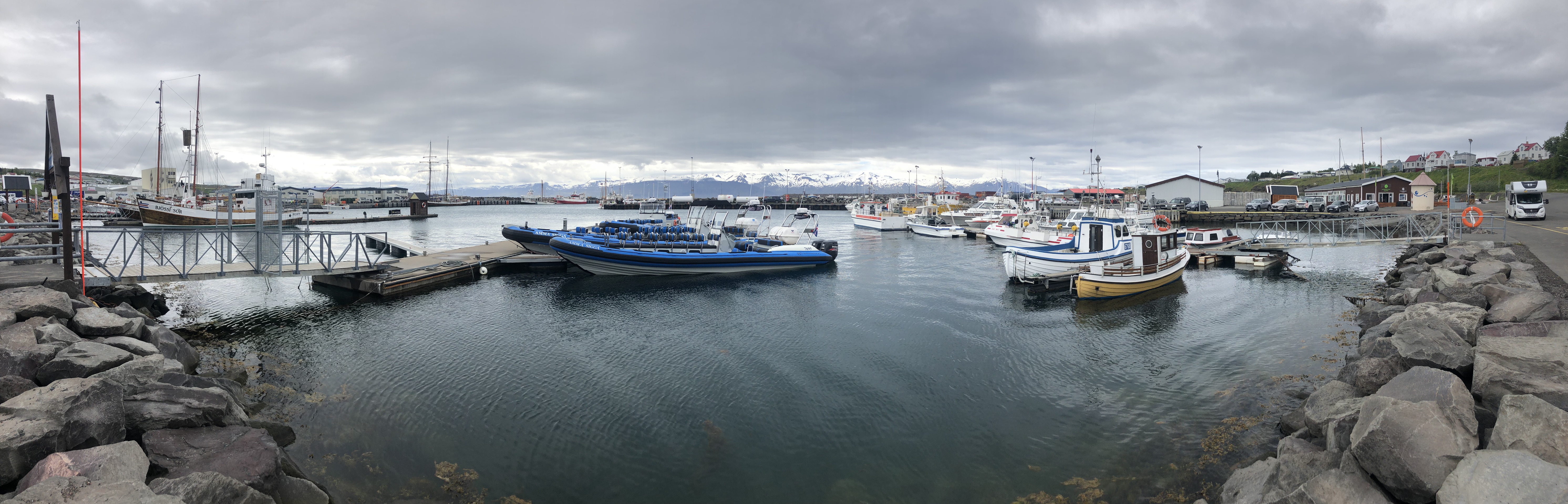 Husavik Adventures