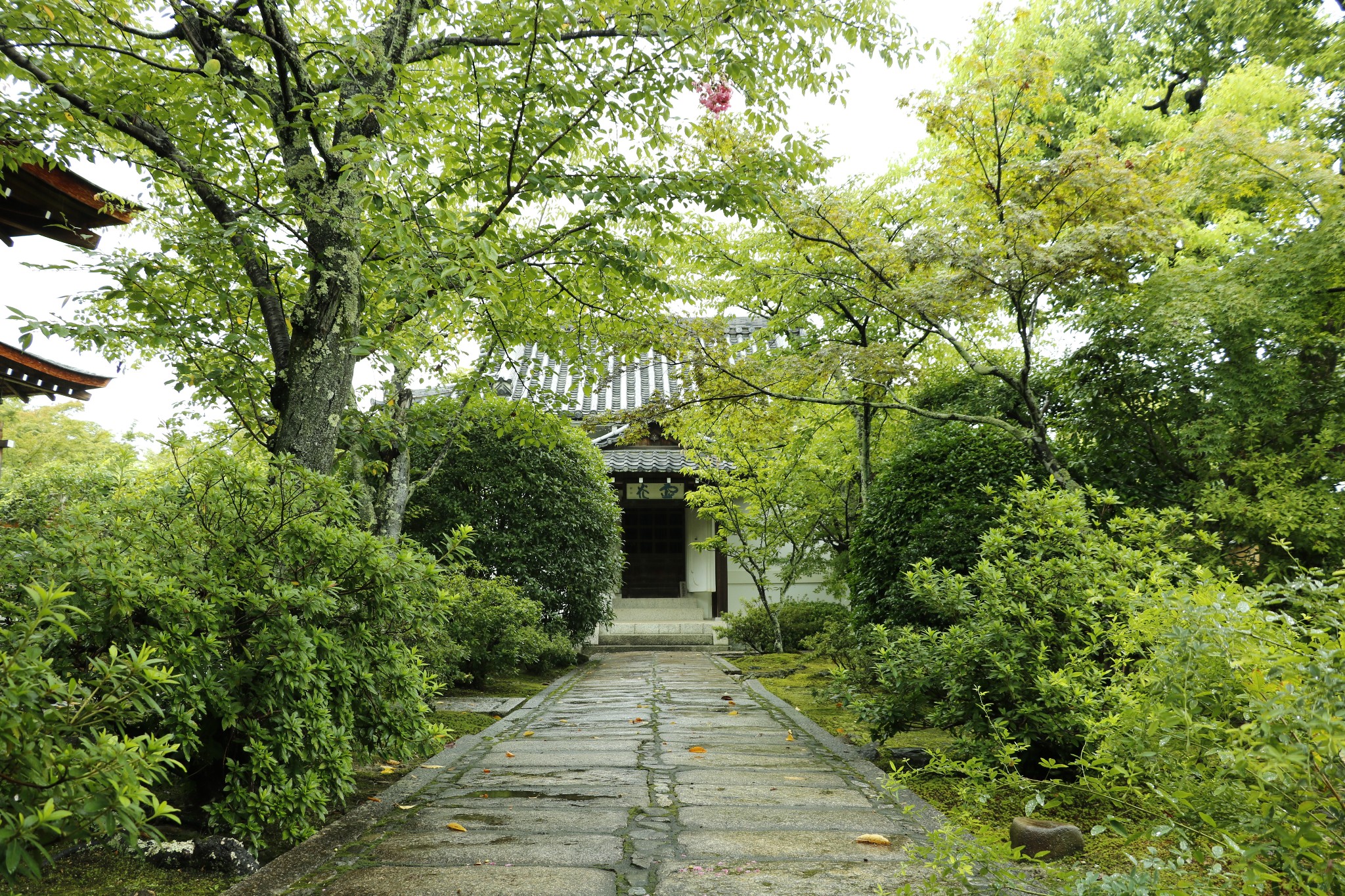 京都自助遊攻略