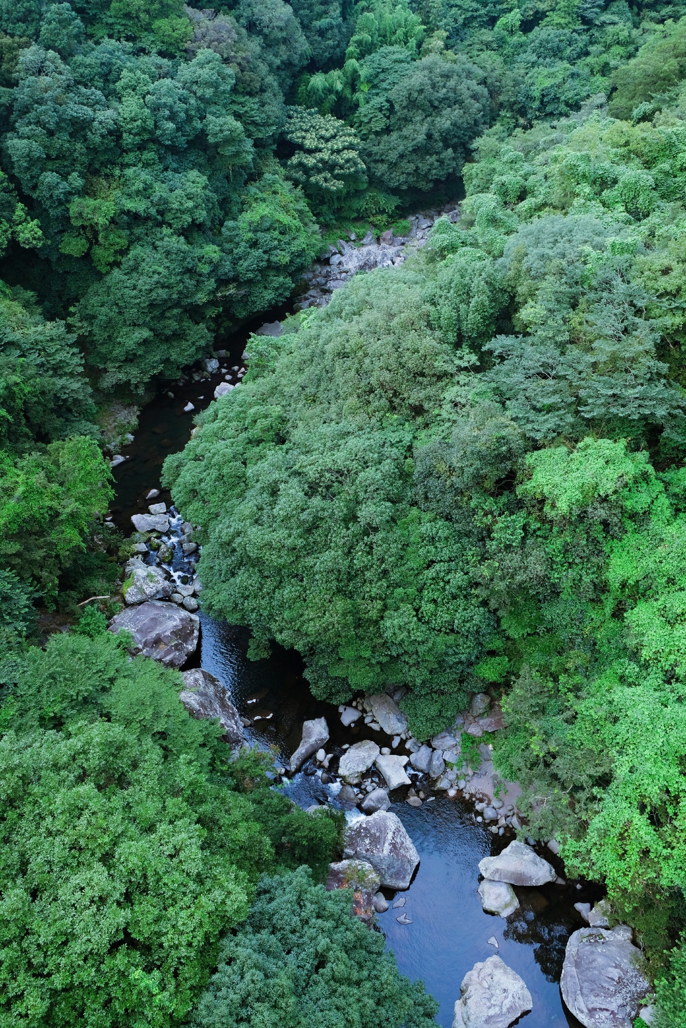 濟州島自助遊攻略