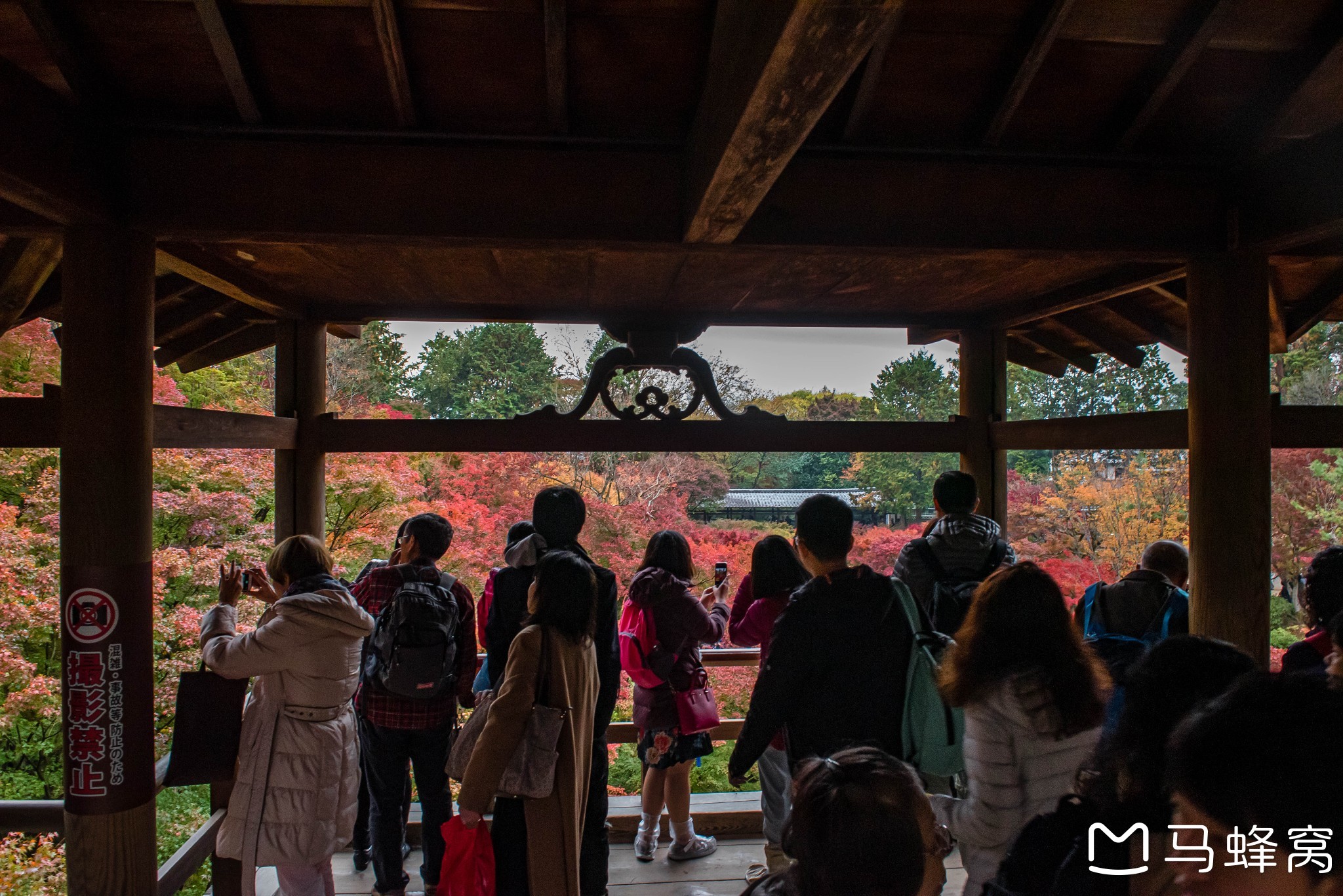 京都自助遊攻略