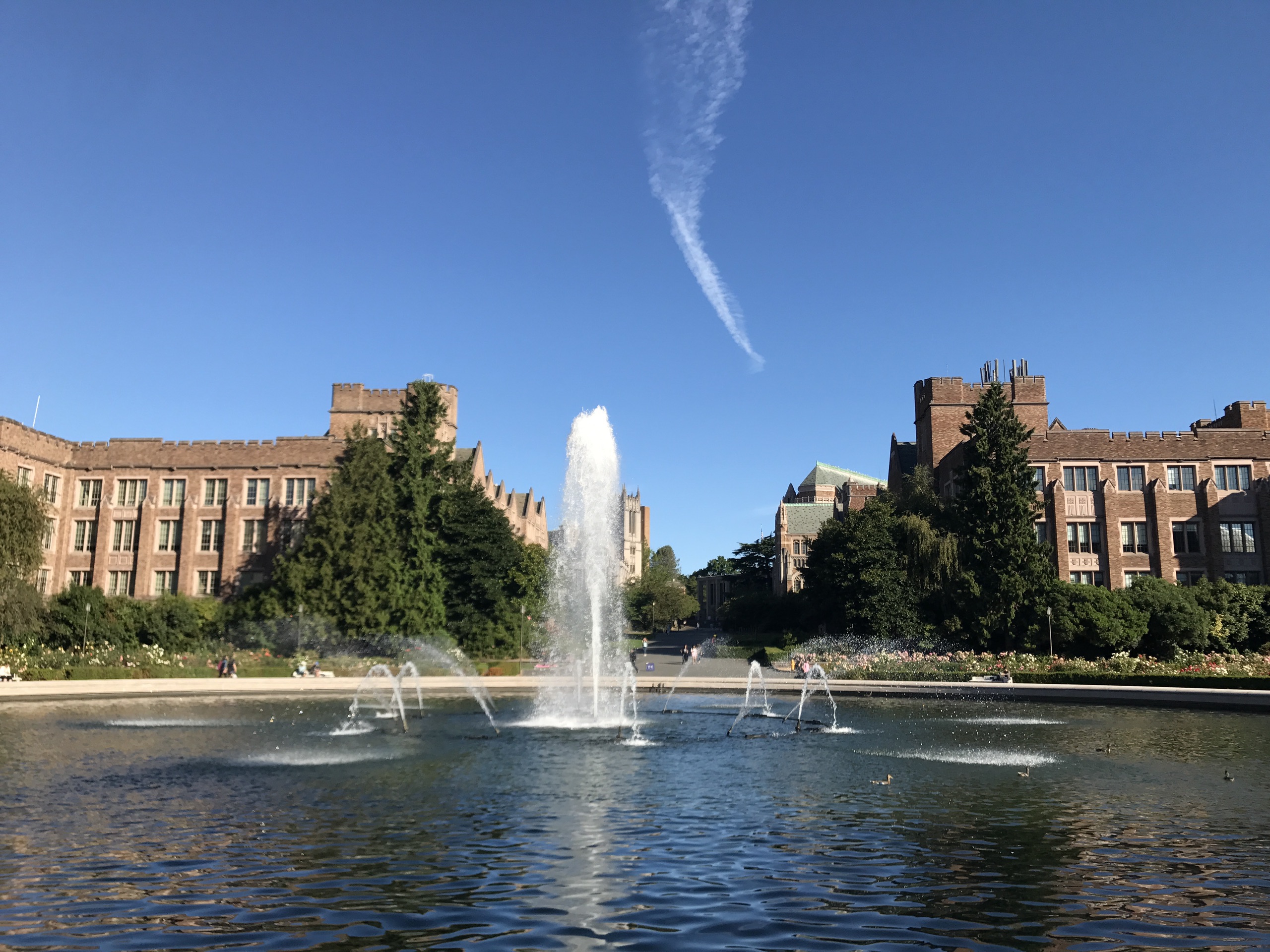 华盛顿大学草药园