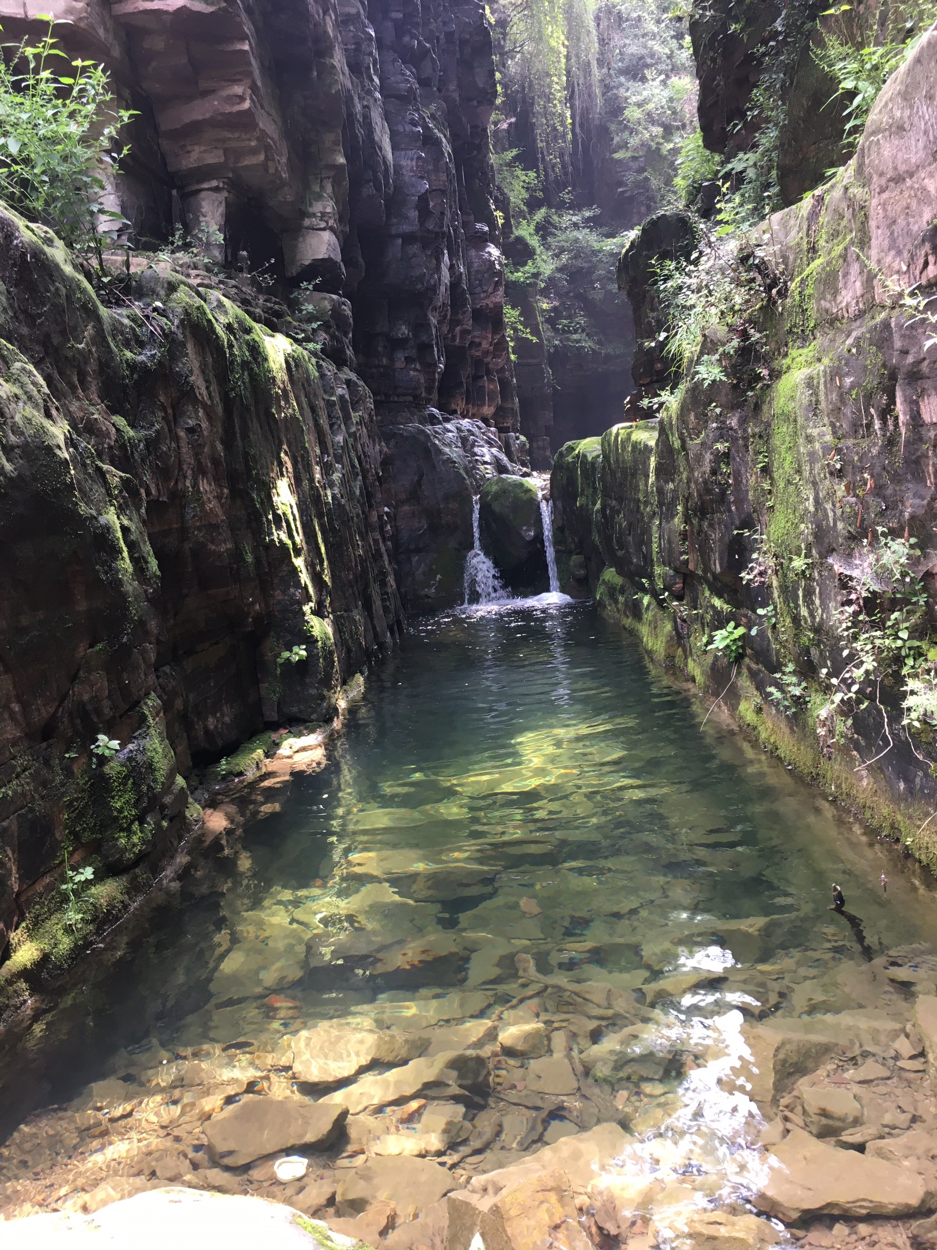 黄河湿地国家级自然保护区