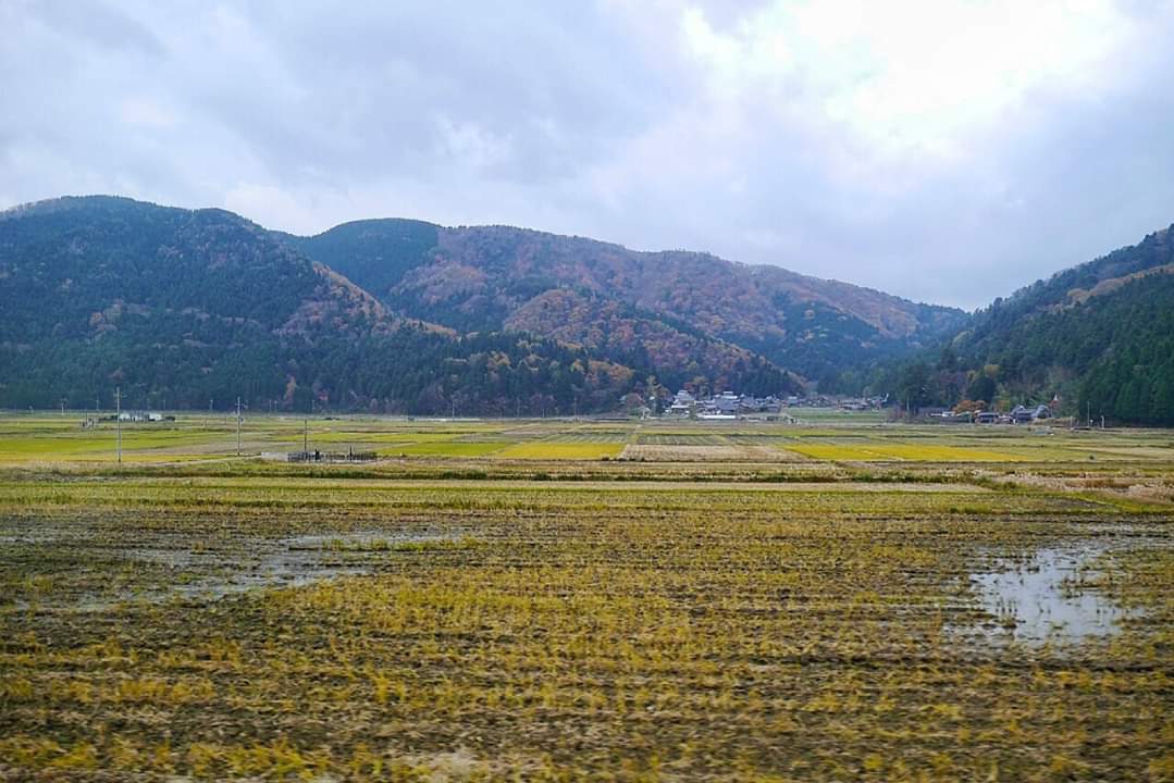 京都自助遊攻略