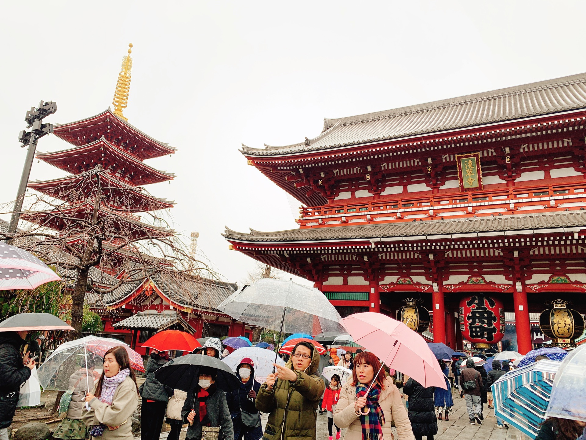 東京自助遊攻略