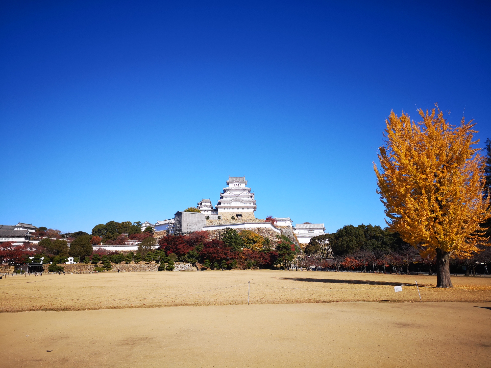 京都自助遊攻略