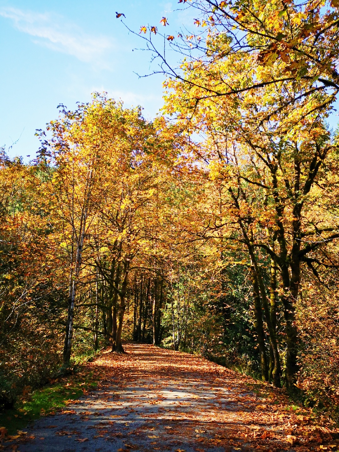 Coquihalla Summit Recreation Area