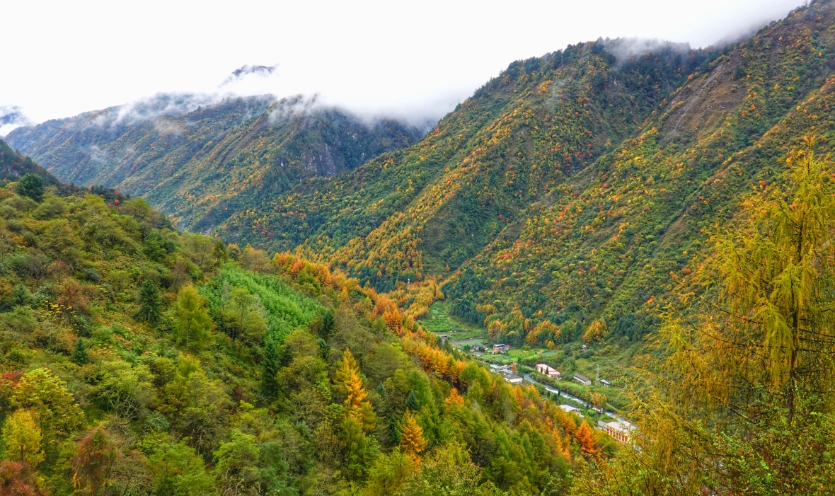转山会四川汶川卧龙关彩林徒步
