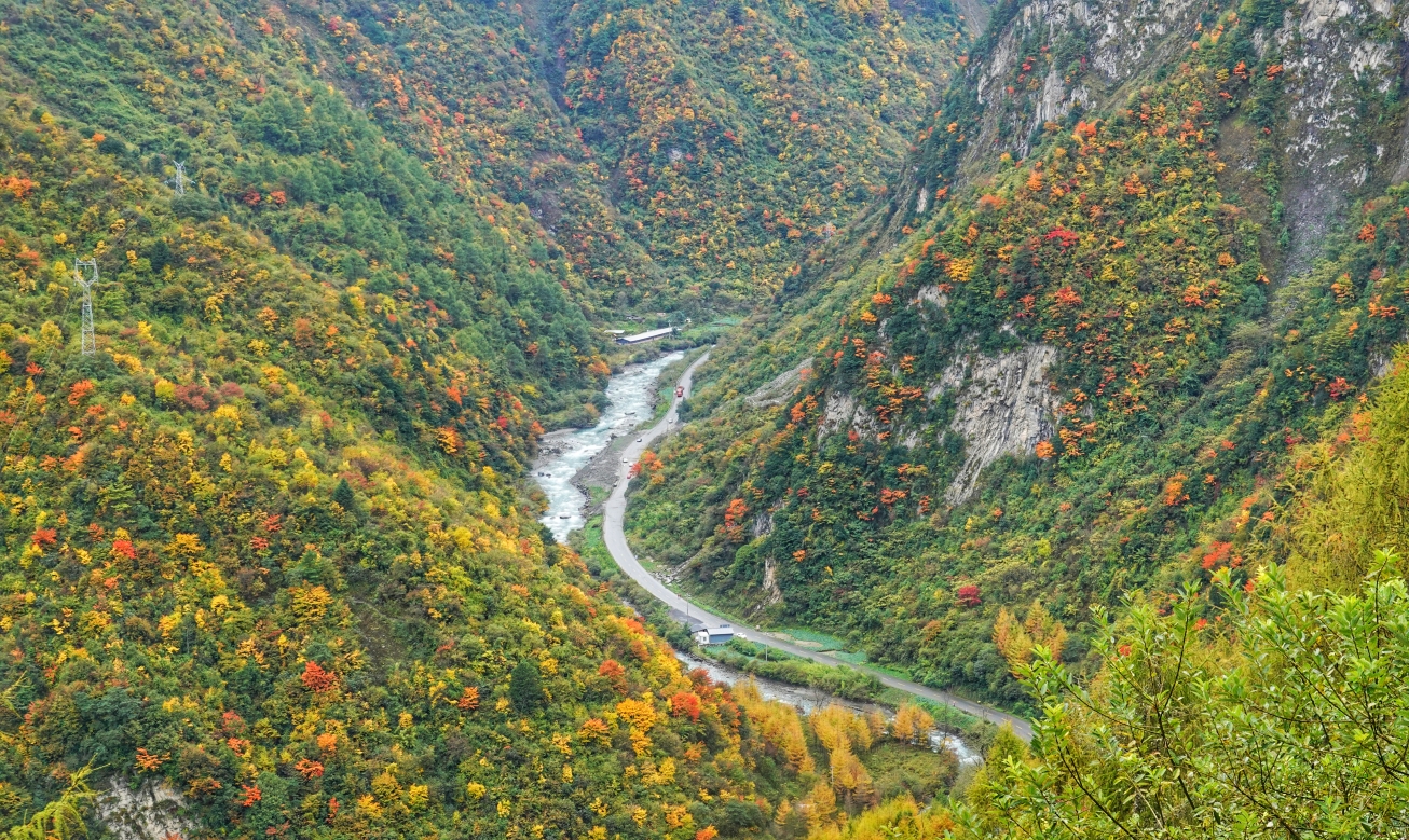 转山会四川汶川卧龙关彩林徒步