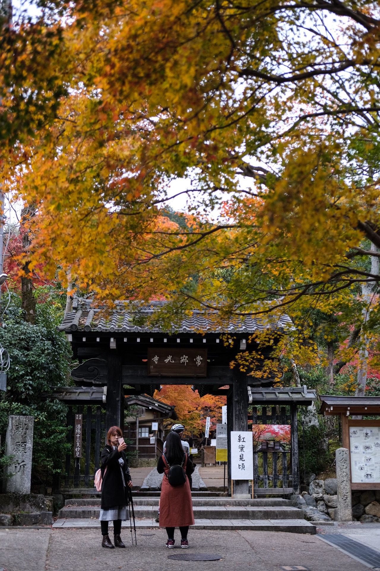 京都自助遊攻略