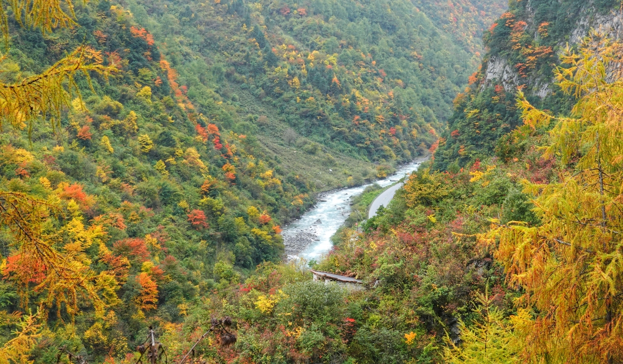 转山会四川汶川卧龙关彩林徒步