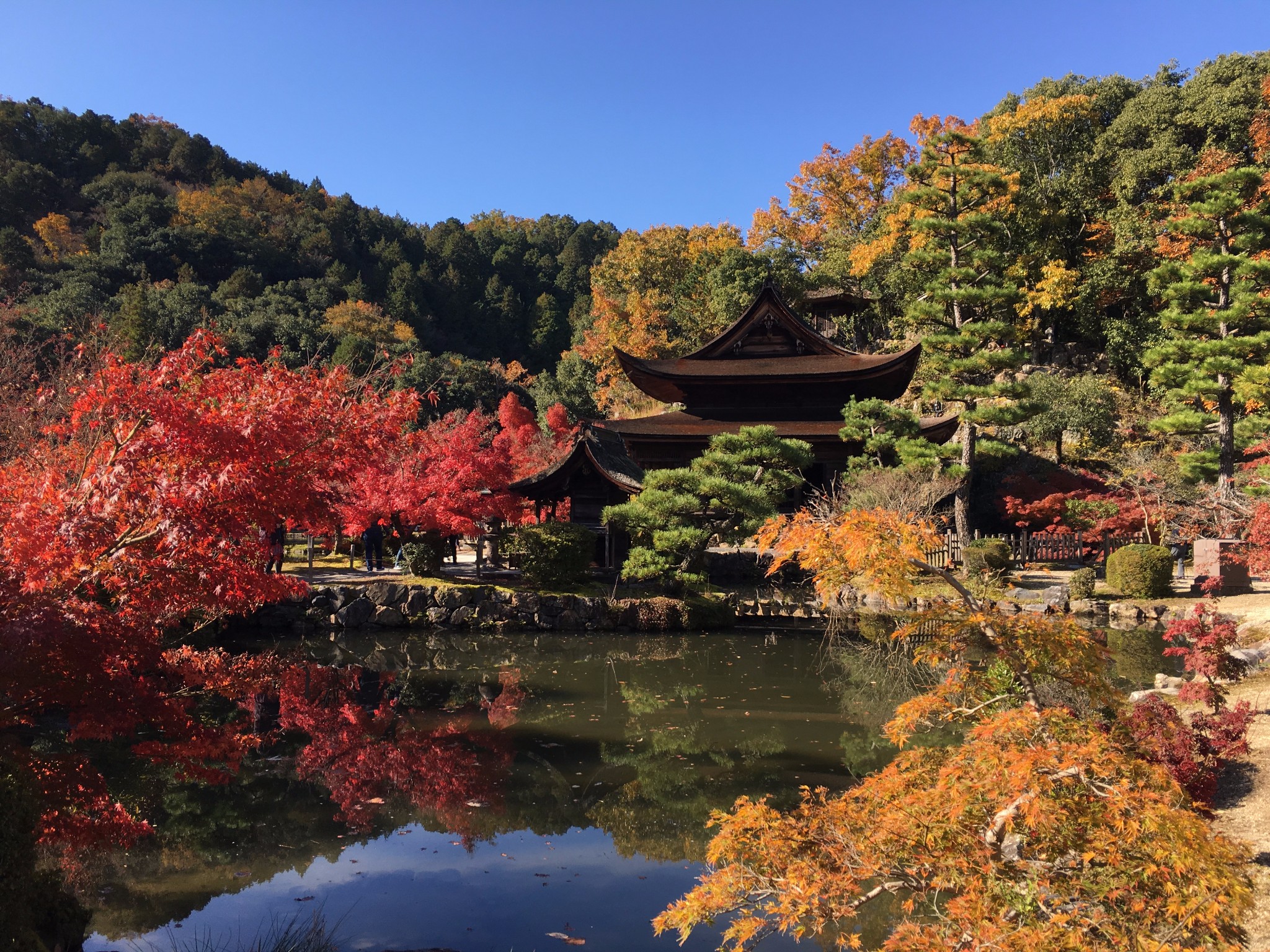 名古屋自助遊攻略