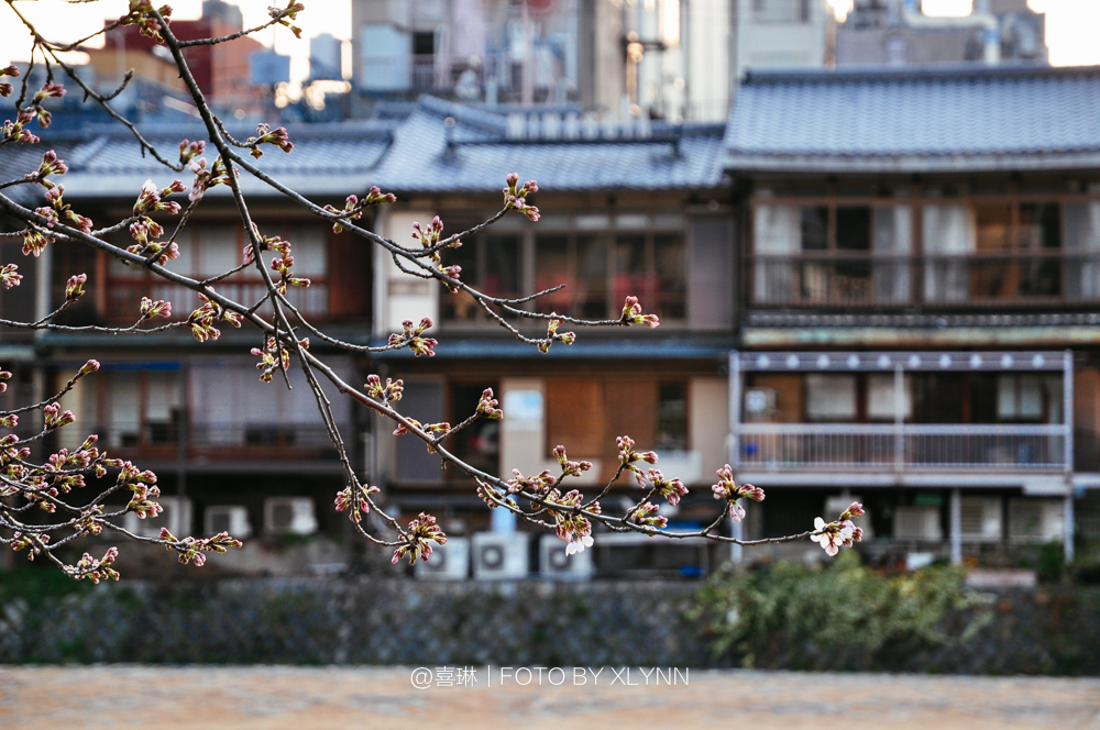 京都自助遊攻略