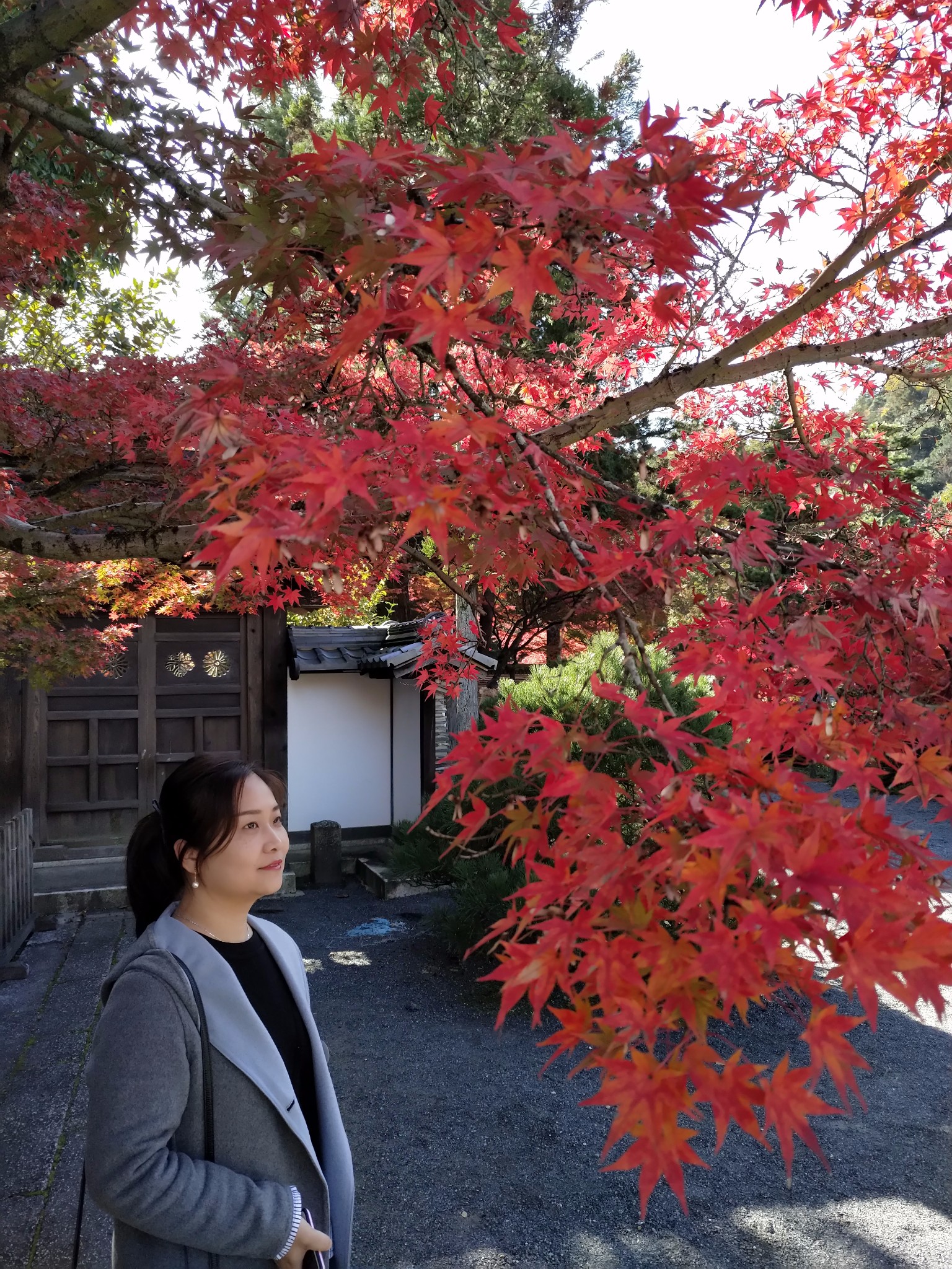 名古屋自助遊攻略