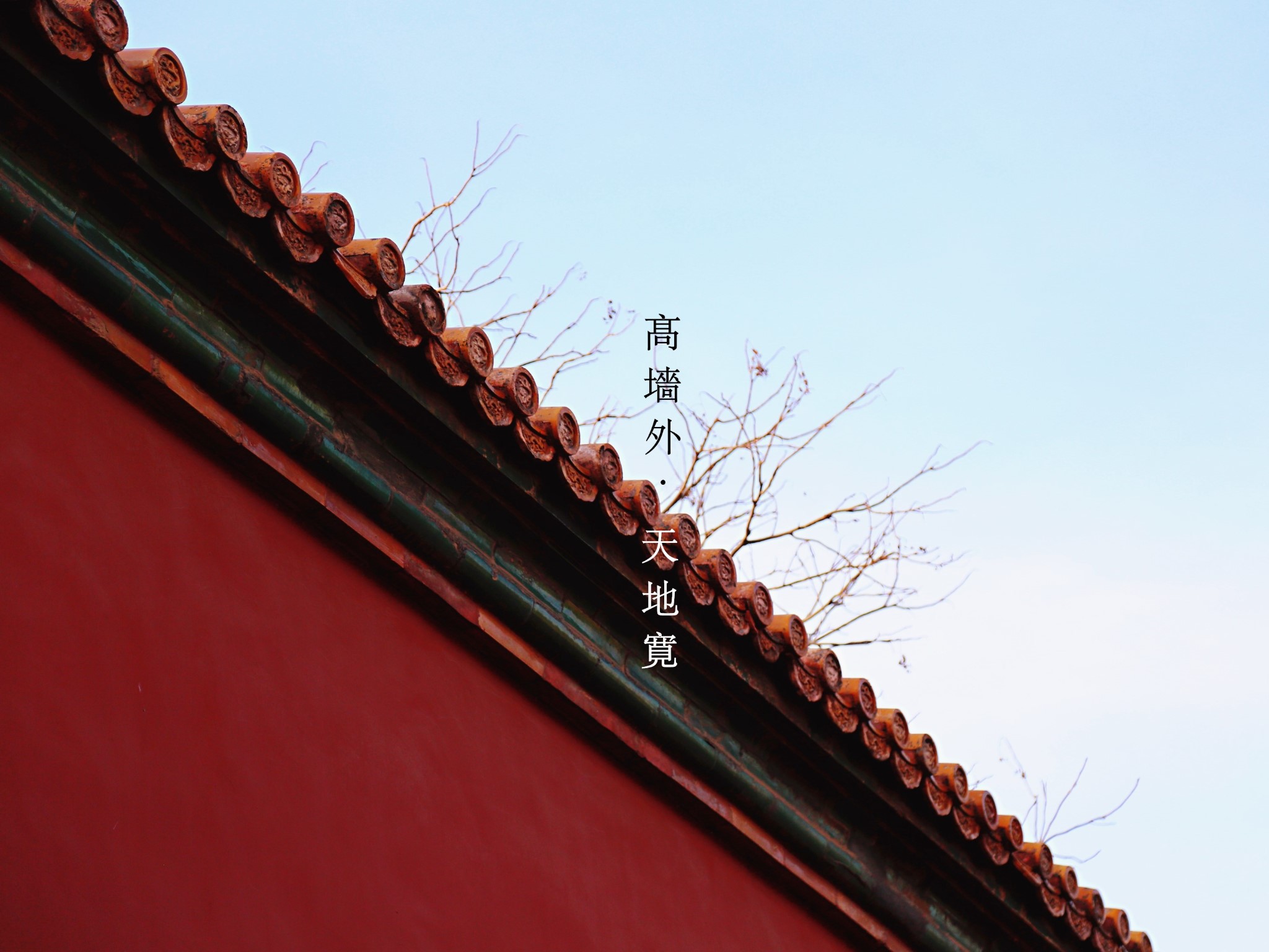 帝都一眼望不尽的紫禁朱黄