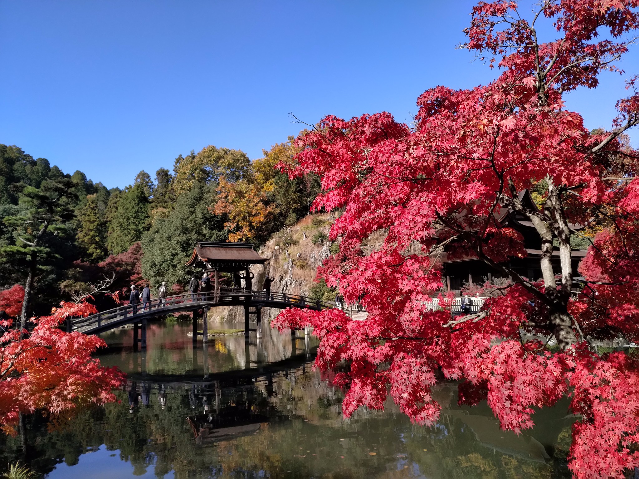 名古屋自助遊攻略