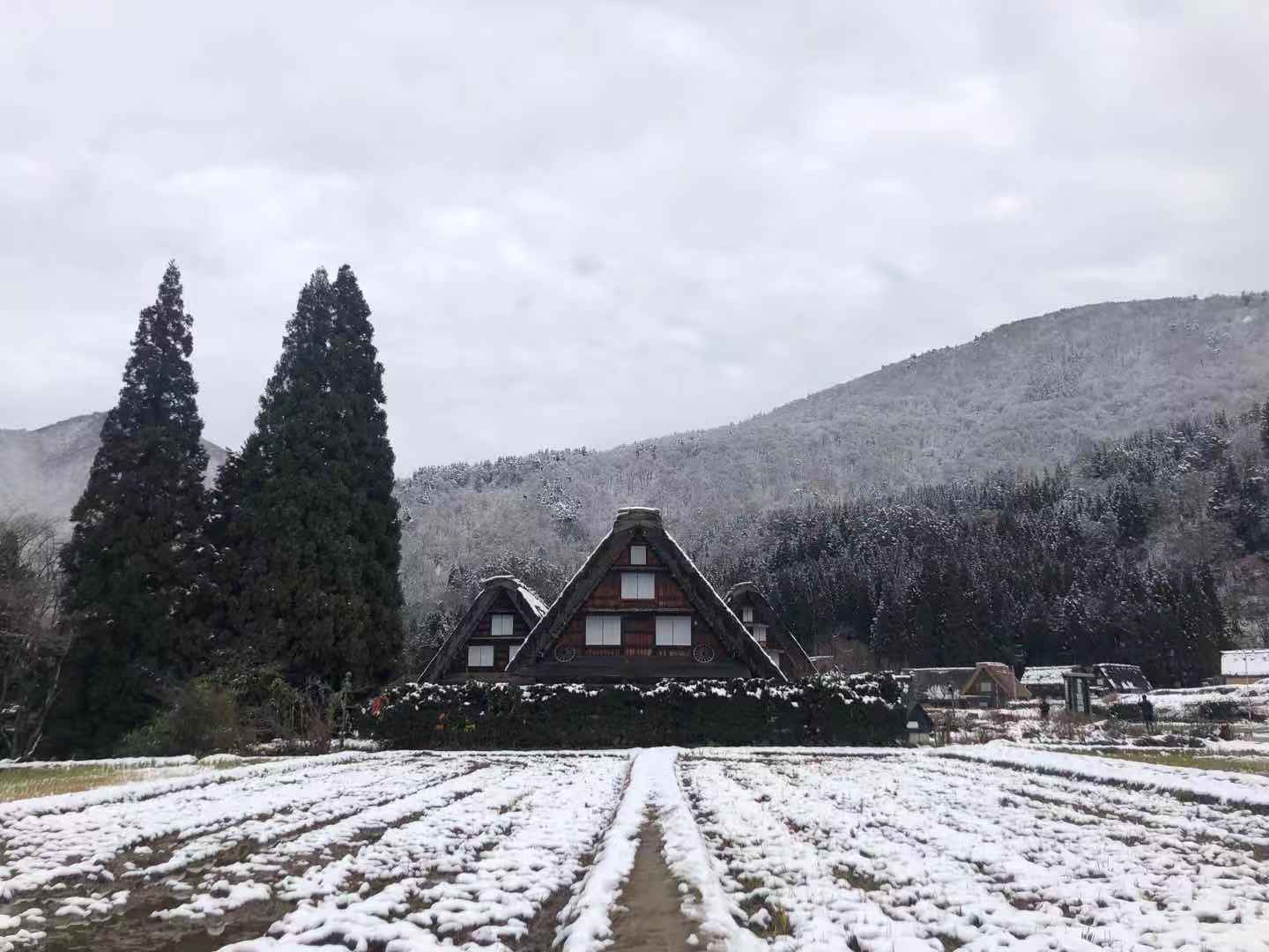 名古屋自助遊攻略