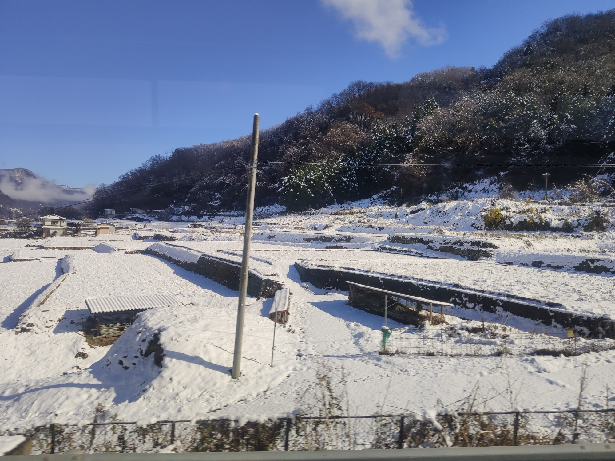 東京自助遊攻略