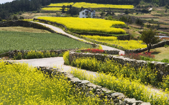 【韩国旅游·自然全南】 美丽的韩国莞岛欢迎您