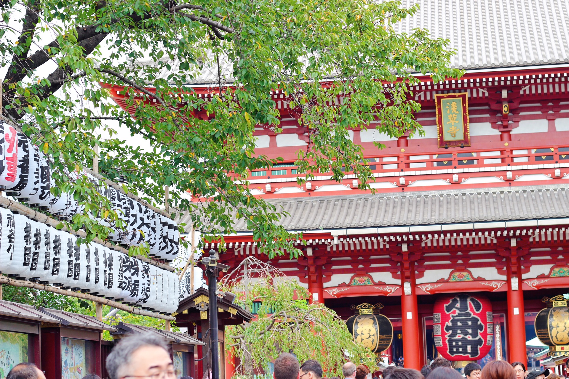 東京自助遊攻略