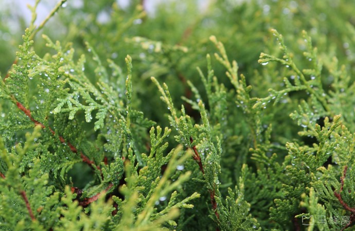 longchamp(drubbagmbh)旅游图片,longchamp(drubbagmbh)自助游图片