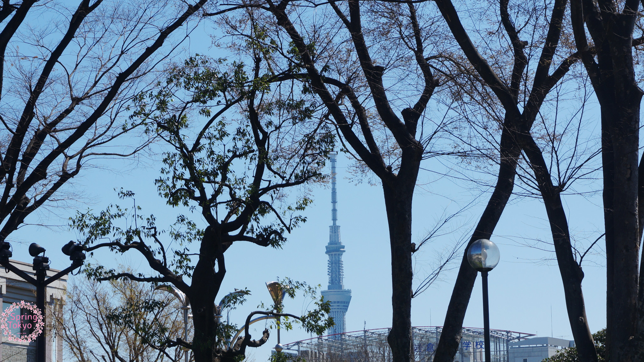 東京自助遊攻略