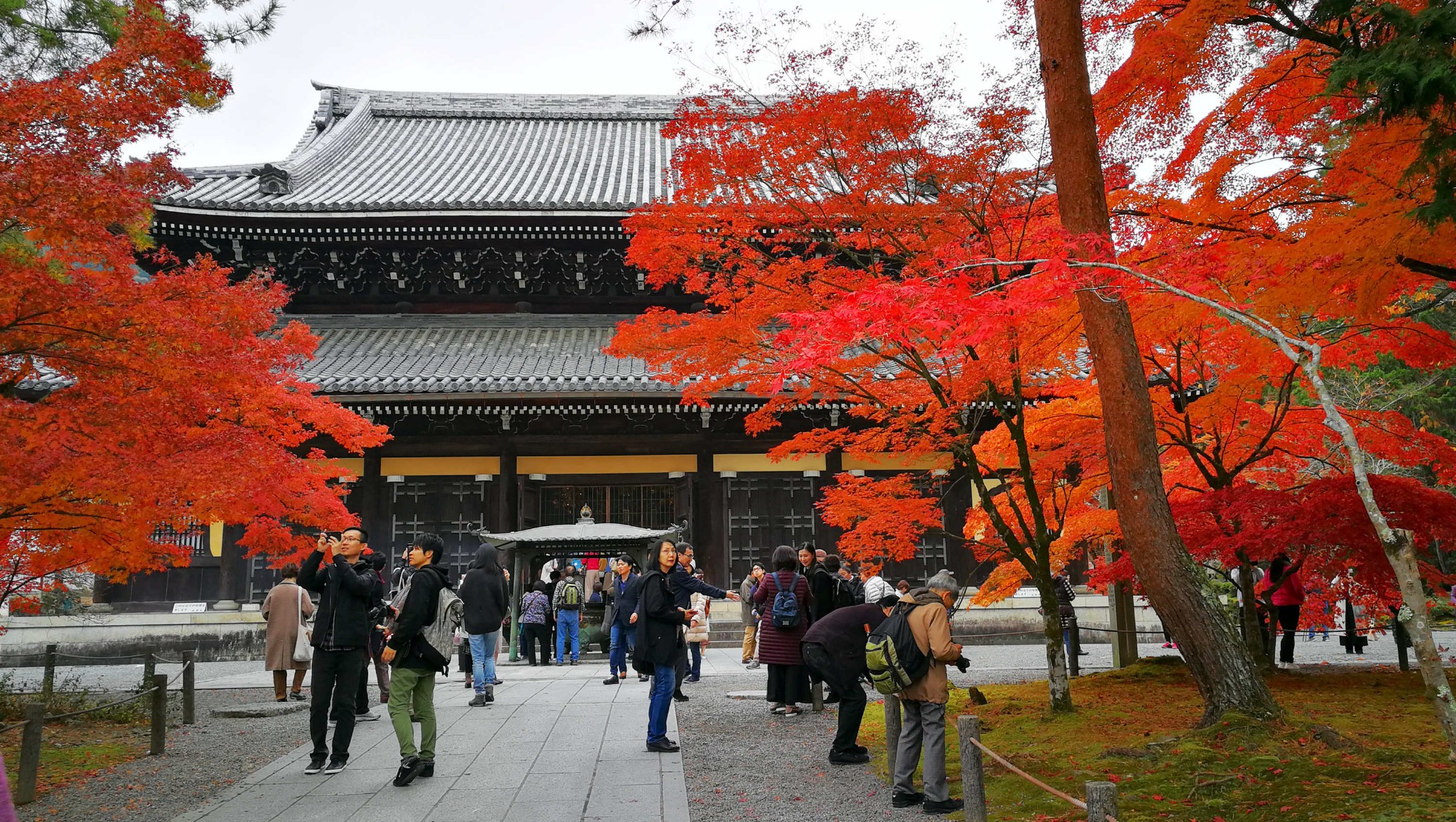 京都自助遊攻略