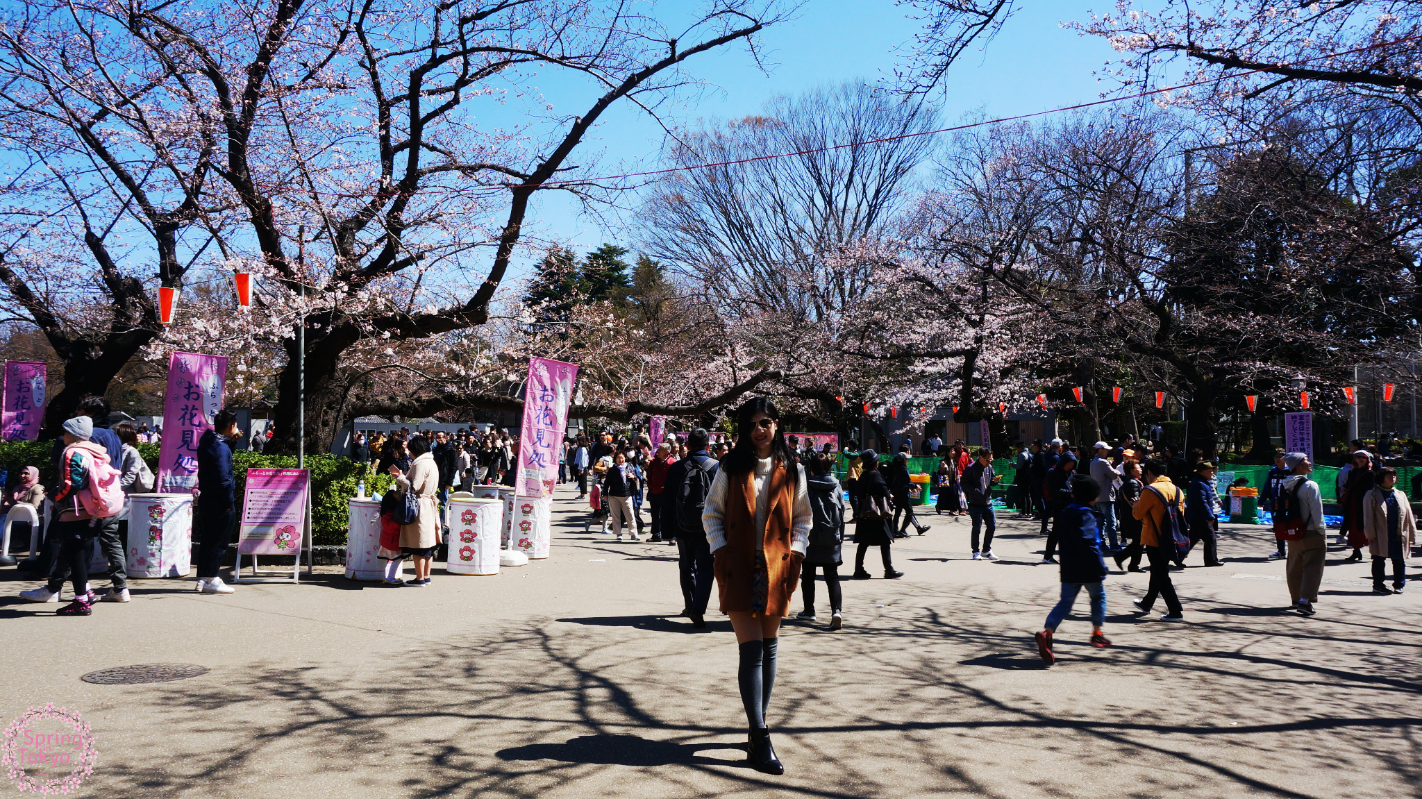 東京自助遊攻略