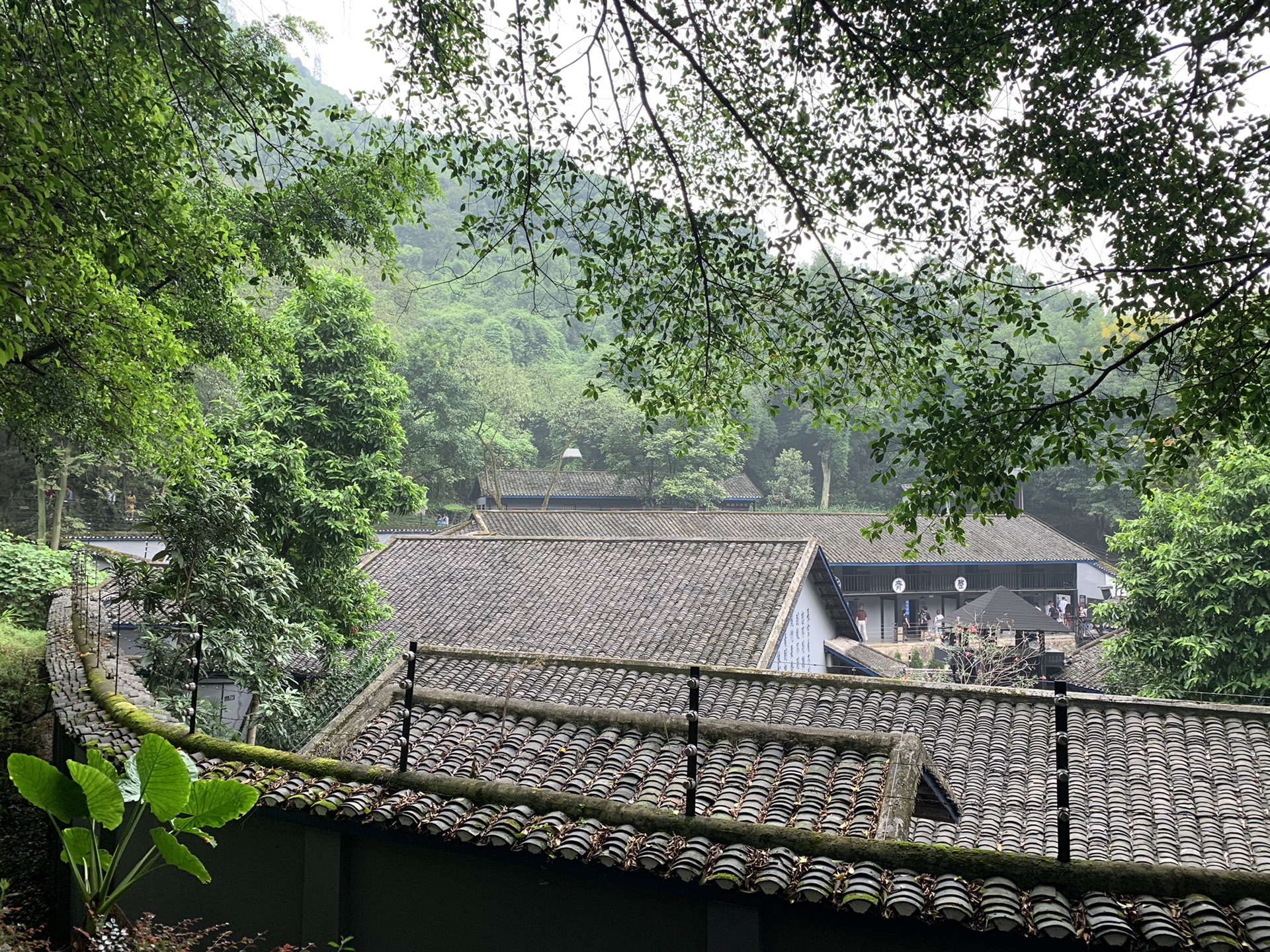 重慶day 3 磁器口古鎮,白公館,渣滓洞,山城步道,重慶自助遊攻略 - 馬