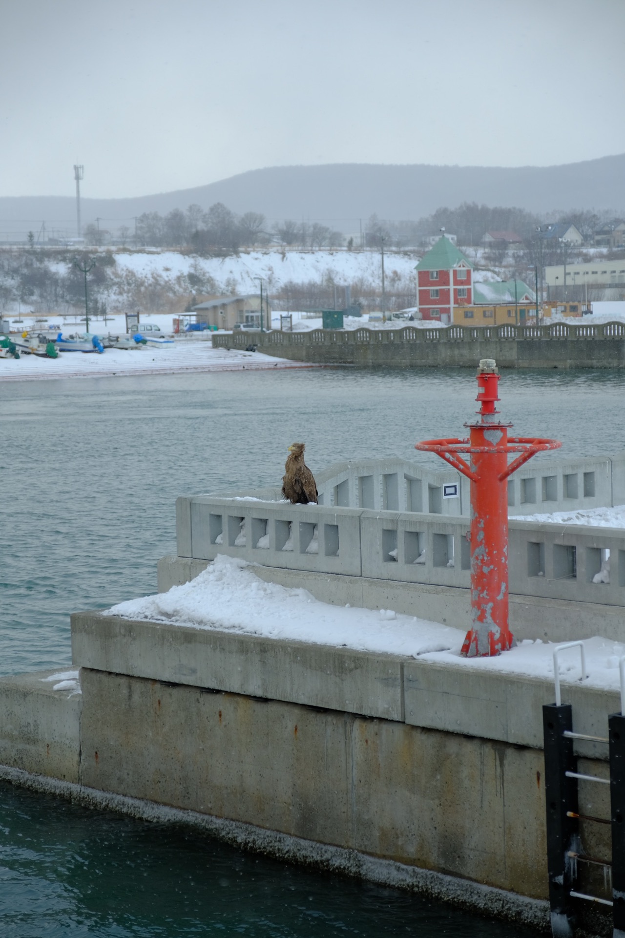 北海道自助遊攻略